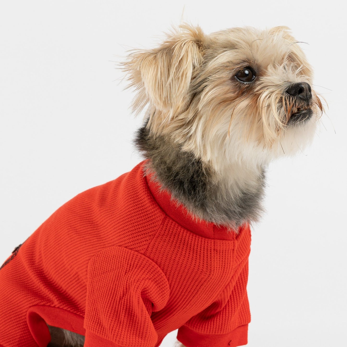 🔥 Thermal Dog Pajamas – Red, Cozy & Warm Ribbed Cotton Onesie