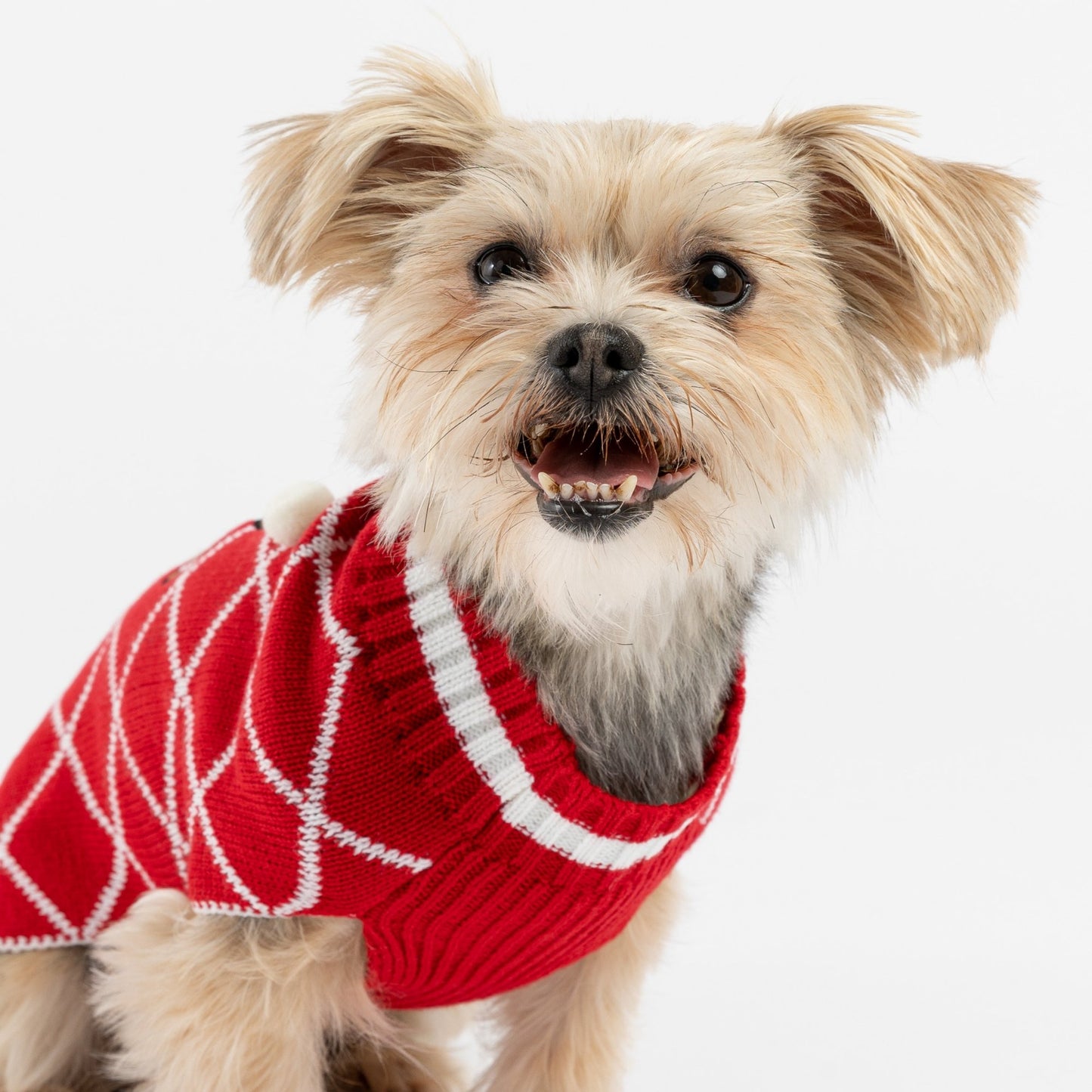 🎄 Ugly Christmas Dog Sweater – Gingerbread Festive Holiday Knit Pullover