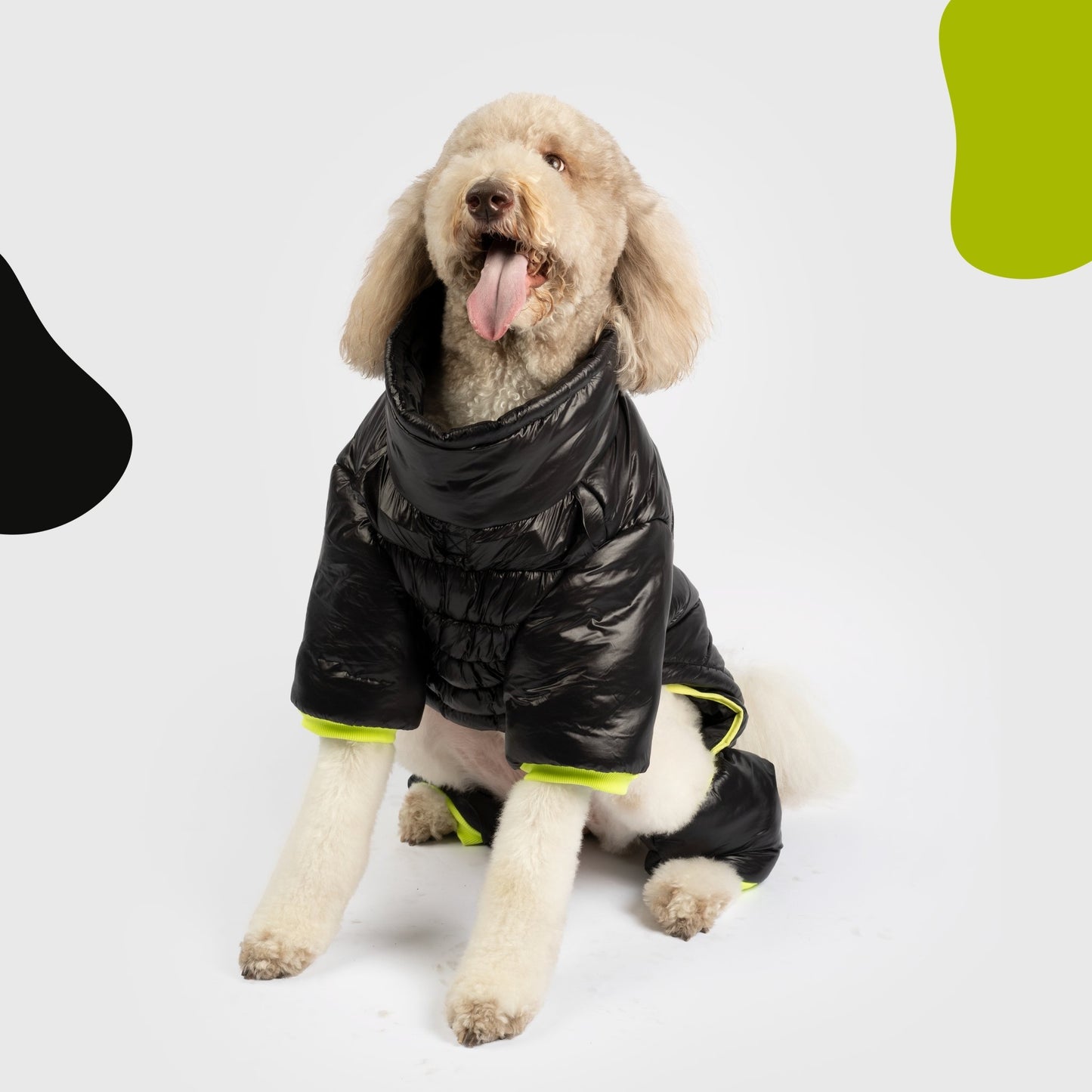🖤 Whistler Full Body Dog Snowsuit - Black | Waterproof Winter Protection with Removable Pants