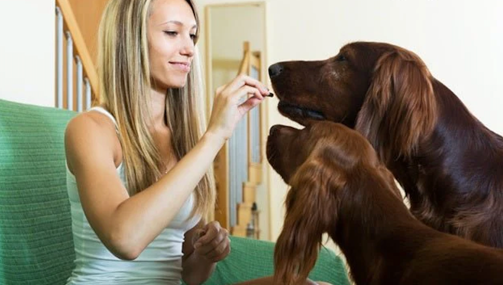 How Omega 3 is Good For Dogs