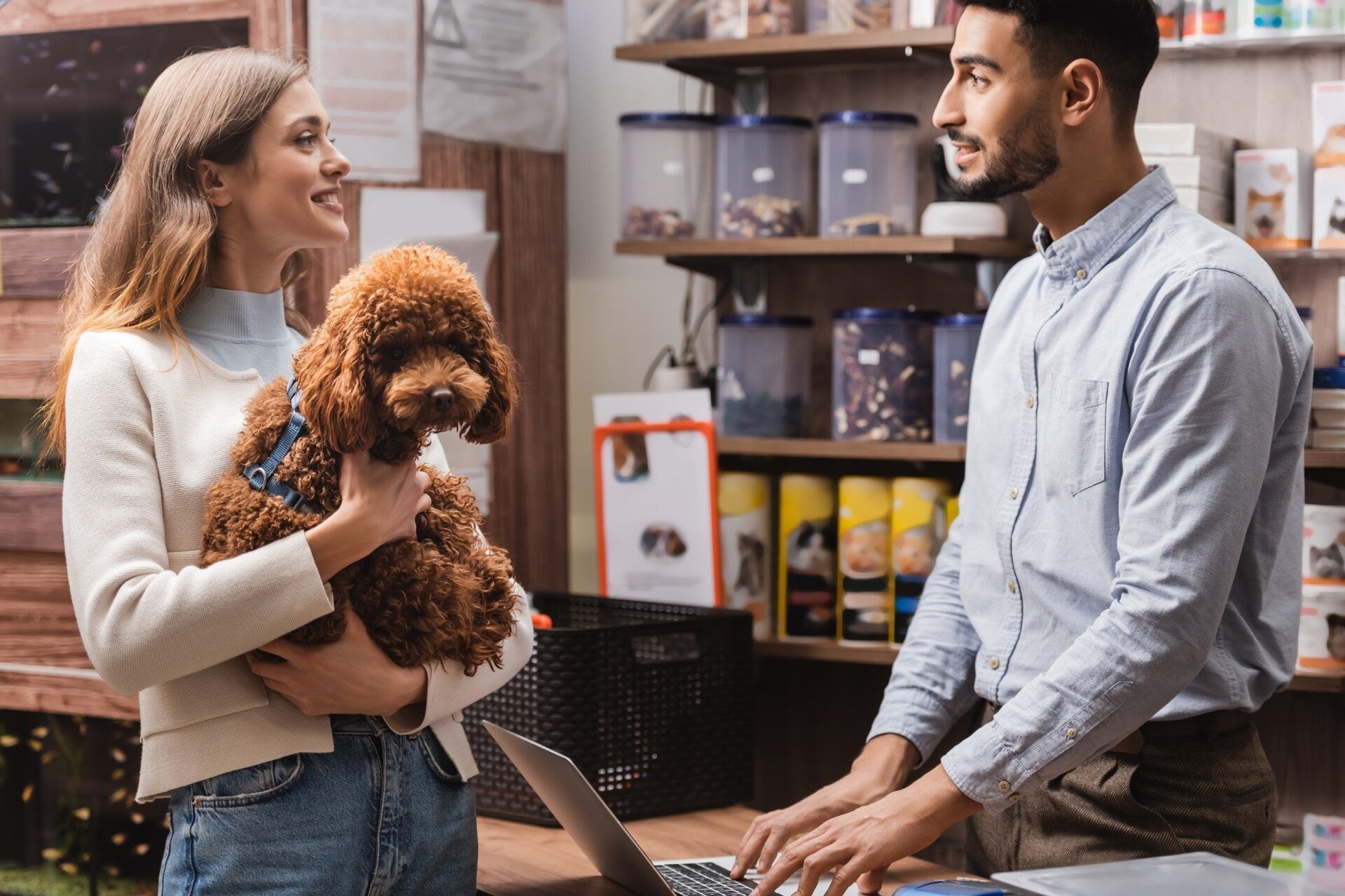 What are the most popular Dog Accessories in 2026?