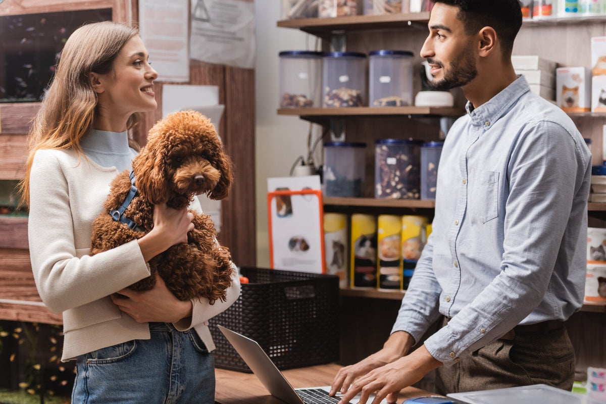 What are the most popular Dog Accessories in 2026?