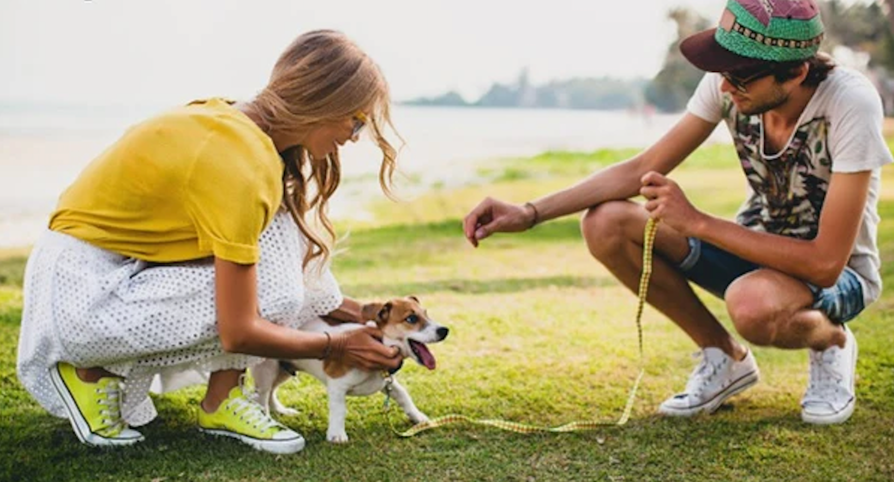 Protecting Your Pup: Essential Tips to Safeguard Your Dog from Summer Hazards