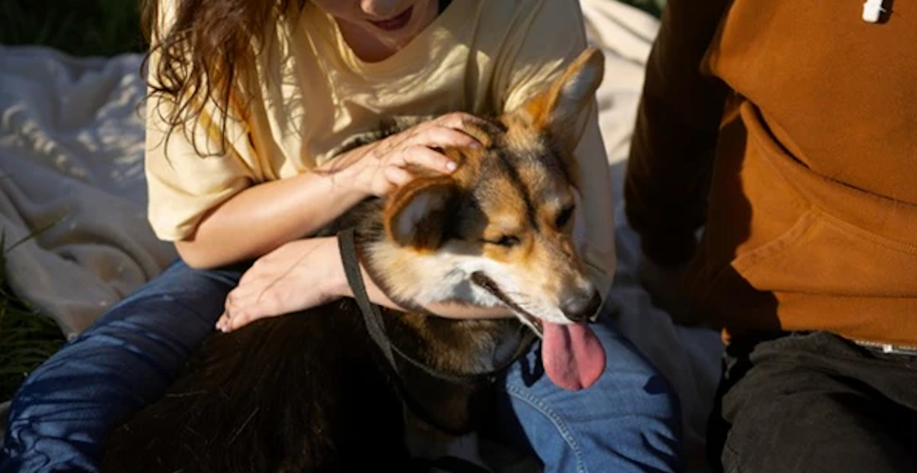 Dogs and Water Activities: How to Keep Your Pup Safe