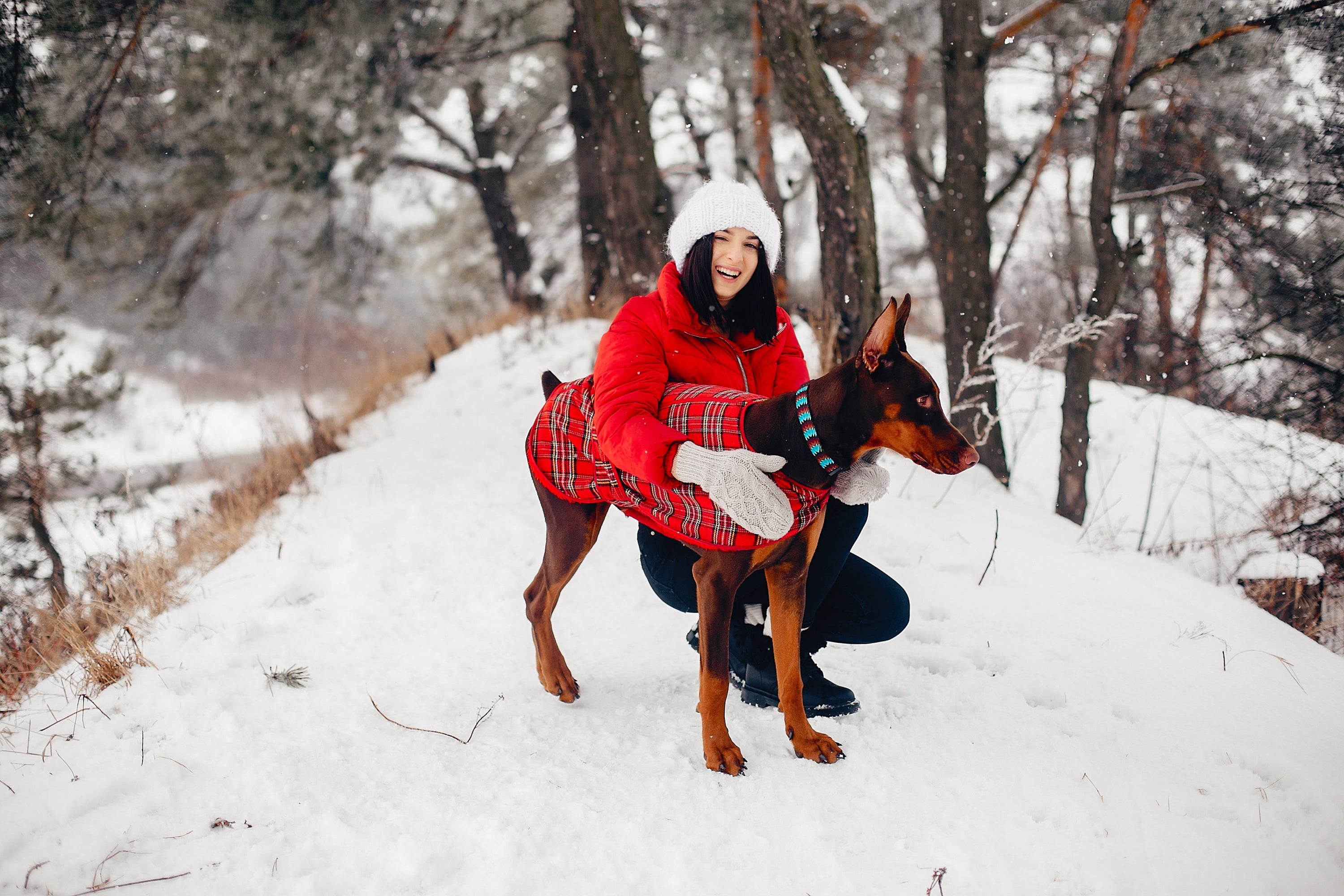 How to Prepare Your Dog for Cold Weather: Keeping Them Warm