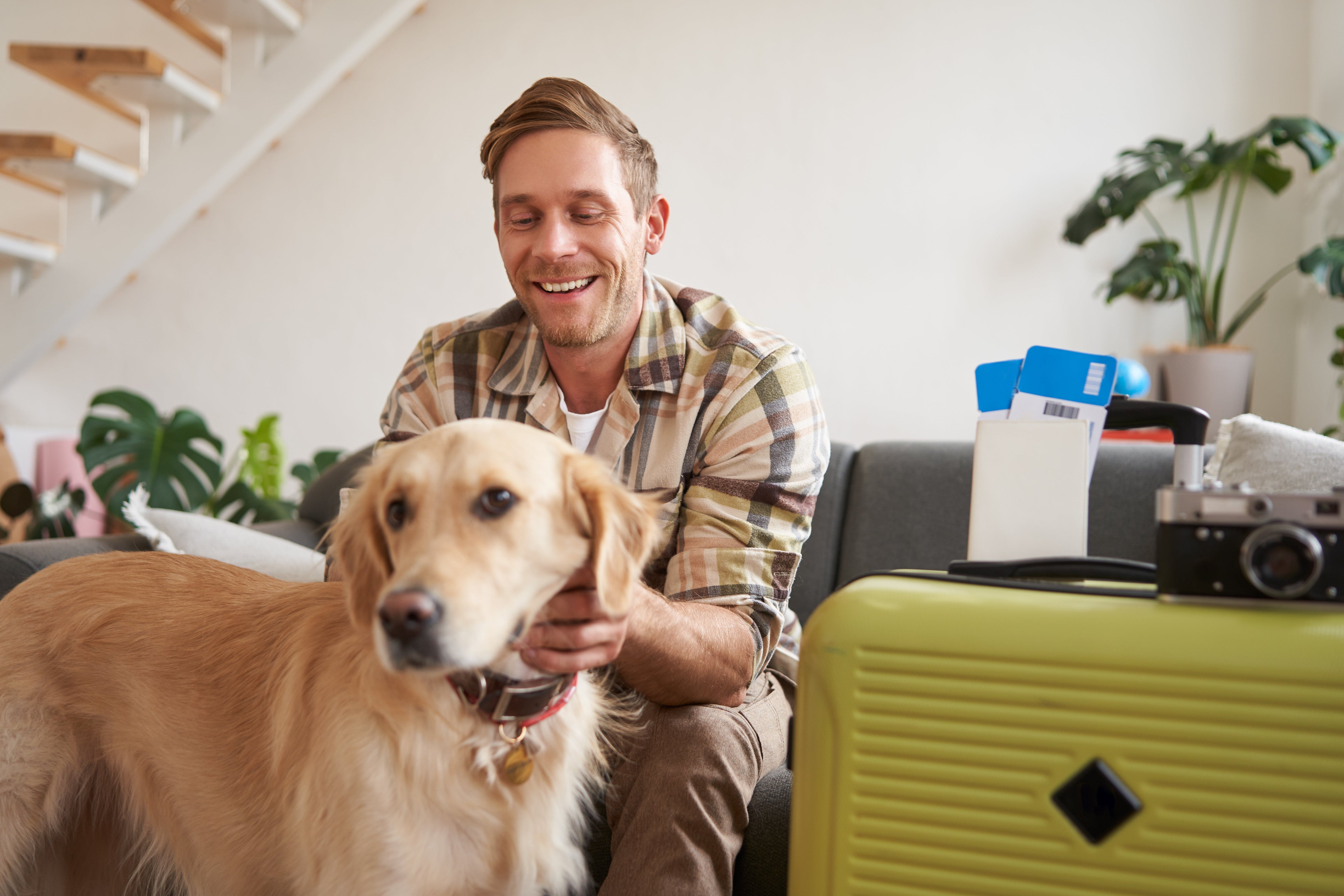 How to Make Your Dog More Comfortable During Travel