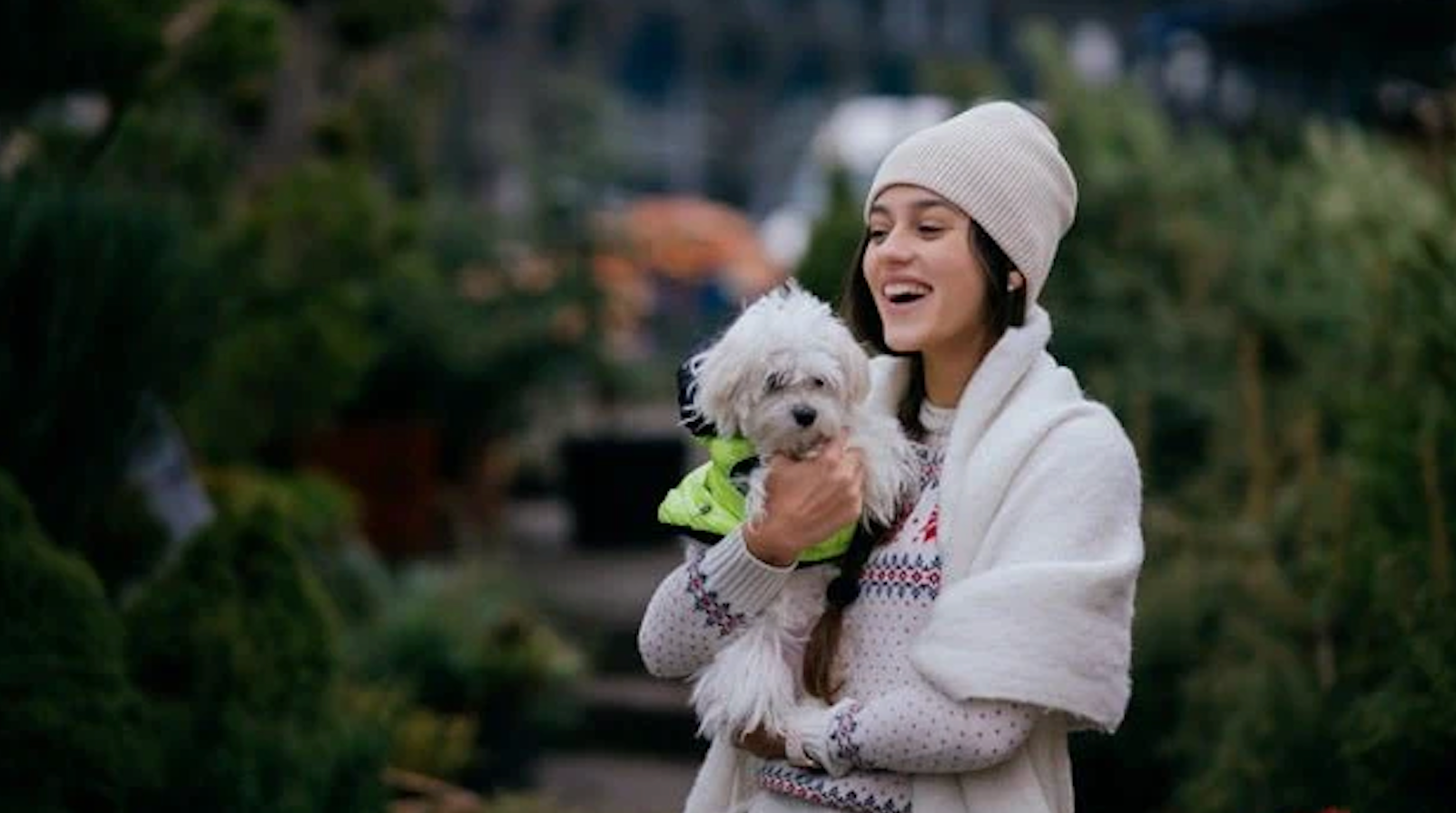 How To Treat Dogs on Raining Days