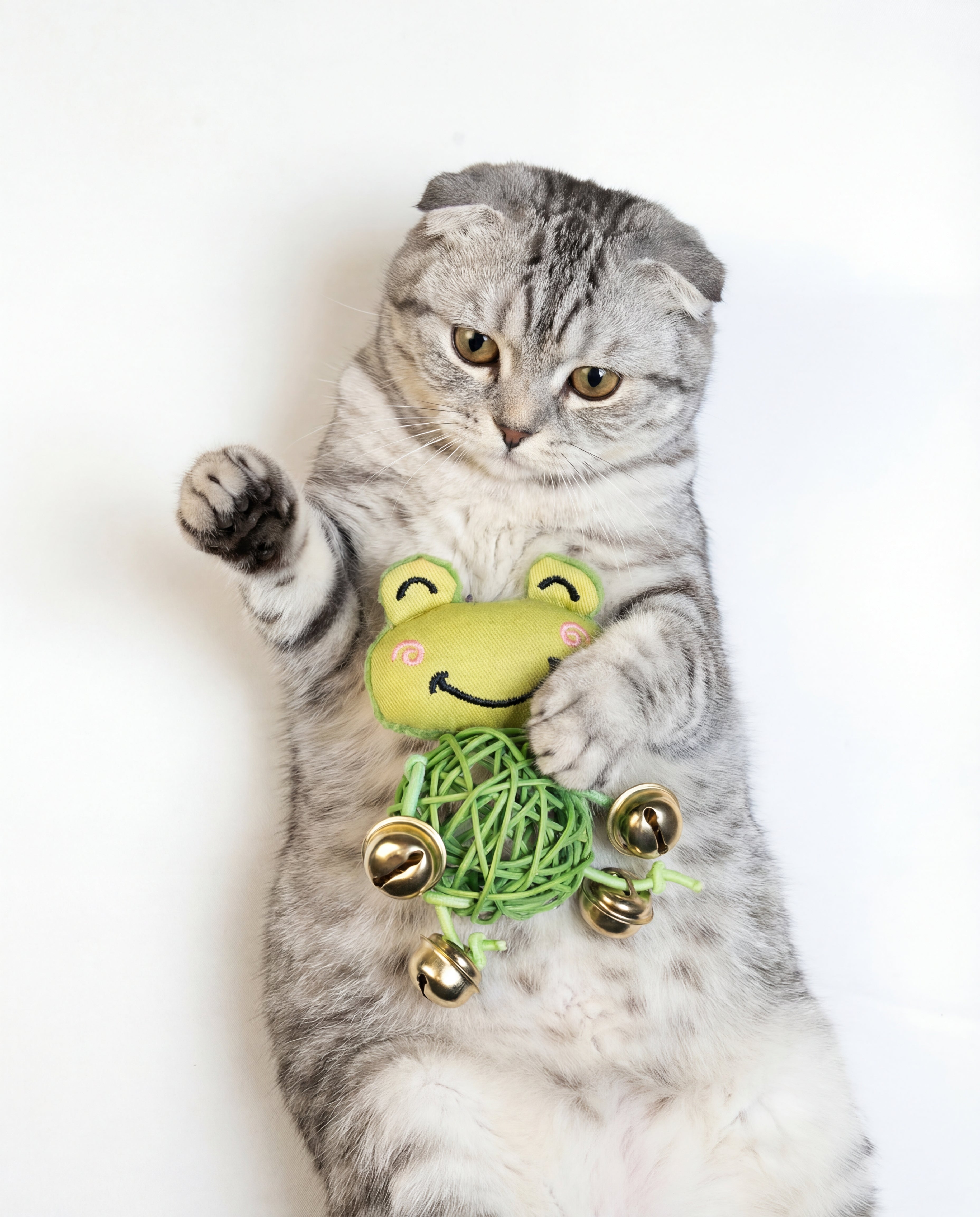 CAT TOYS - Silver Paw