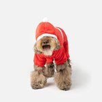 XMAS 23 - Silver Paw