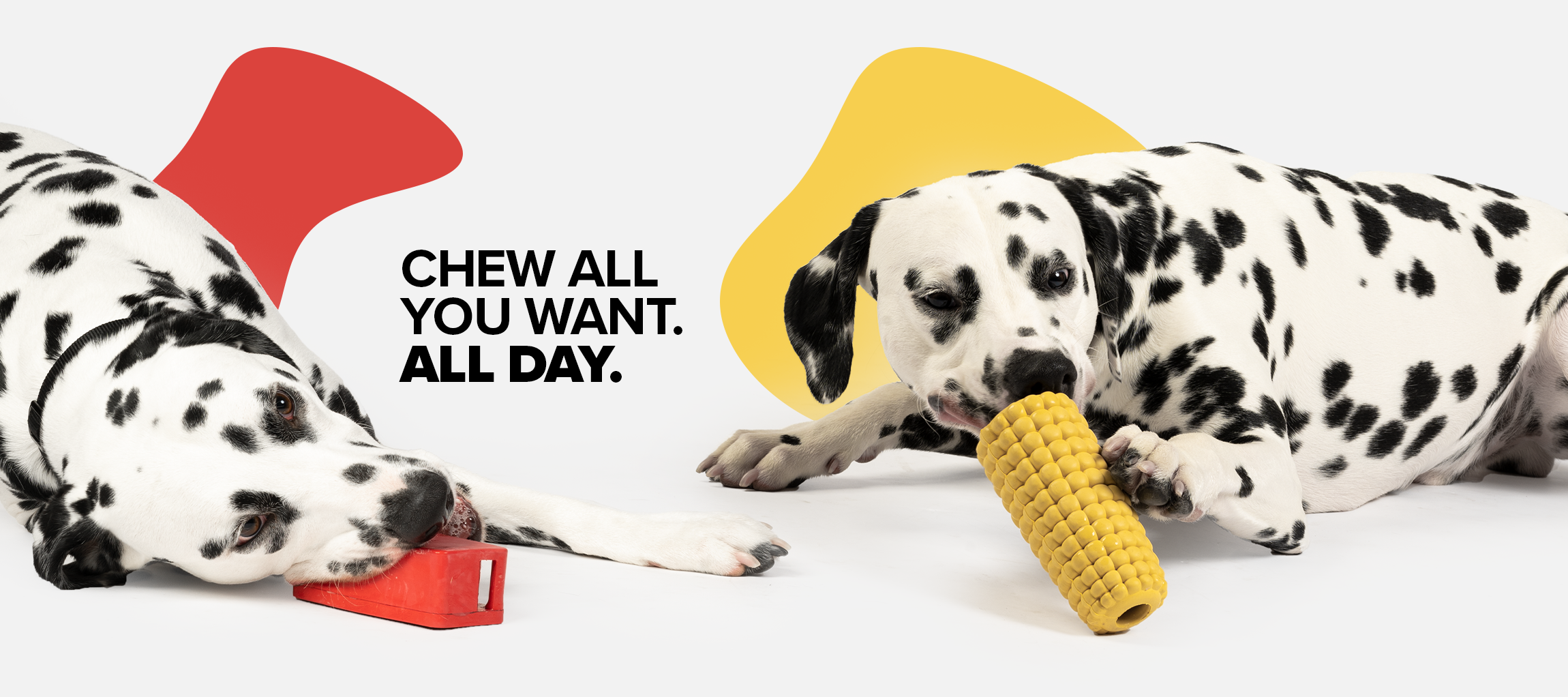 chew toys banner