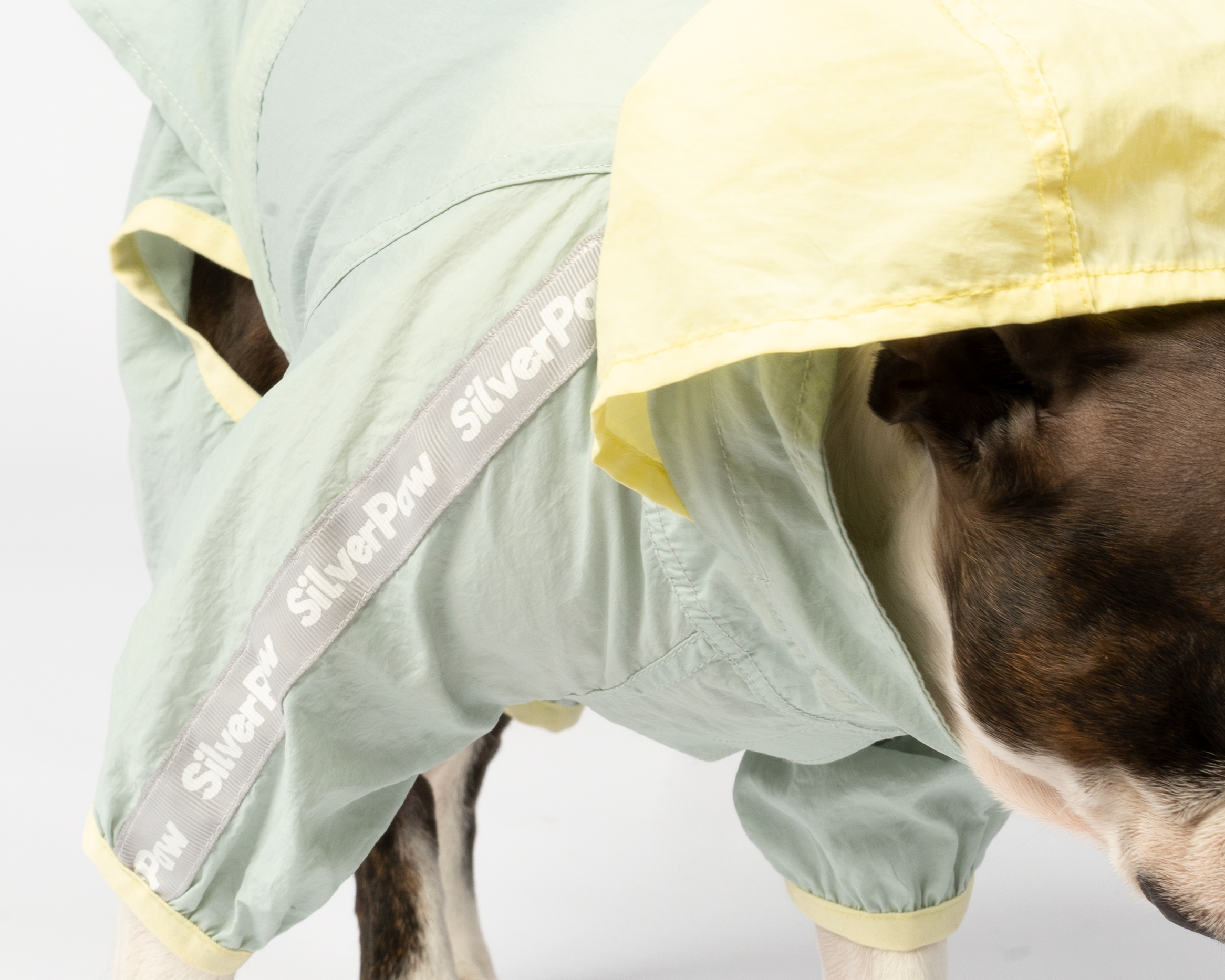 Bobbi 2-Piece Splash Suit | Versatile Water-Resistant Dog Raincoat