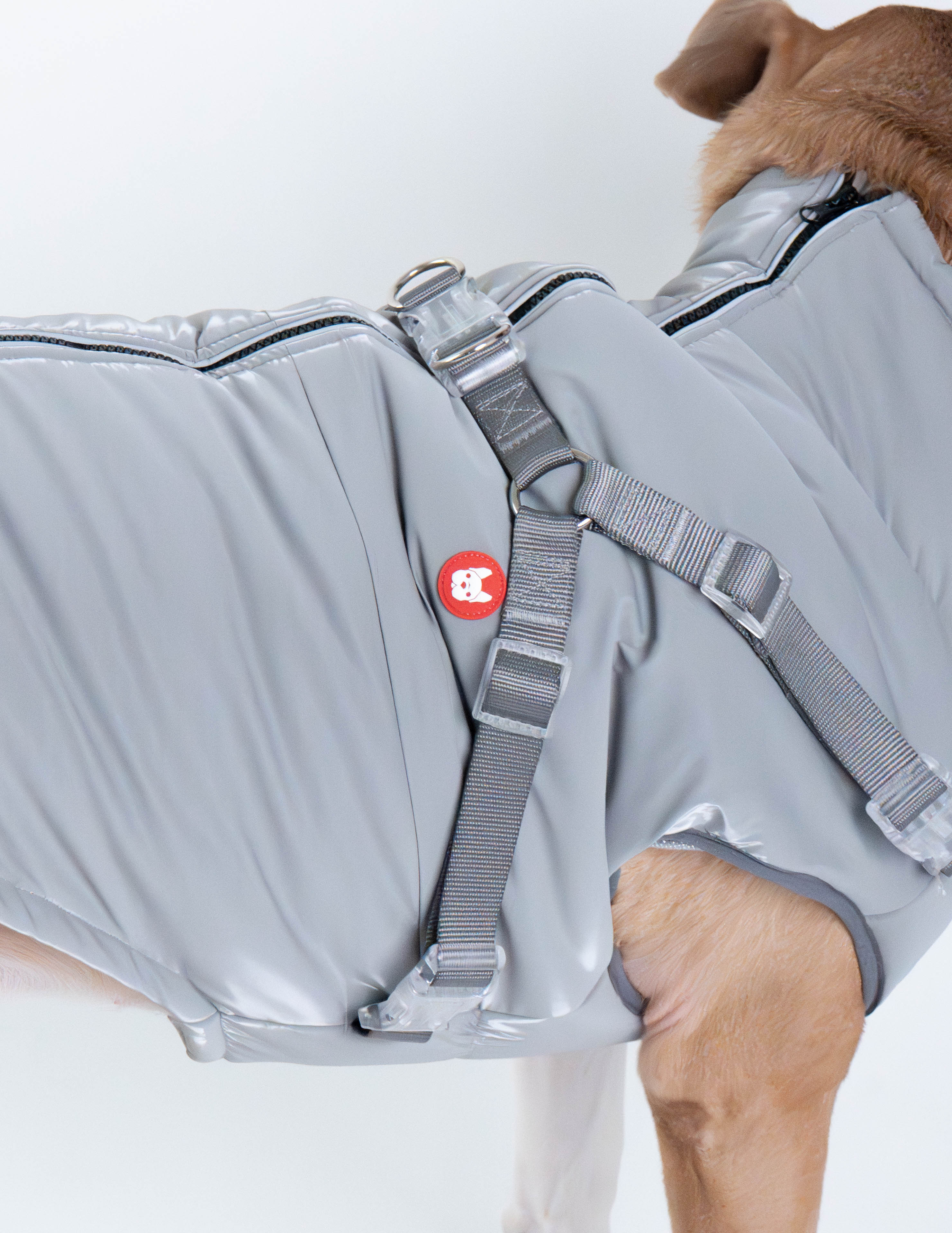 Nova Detachable Full Body Winter Dog Jacket compatible with Maximus Harness