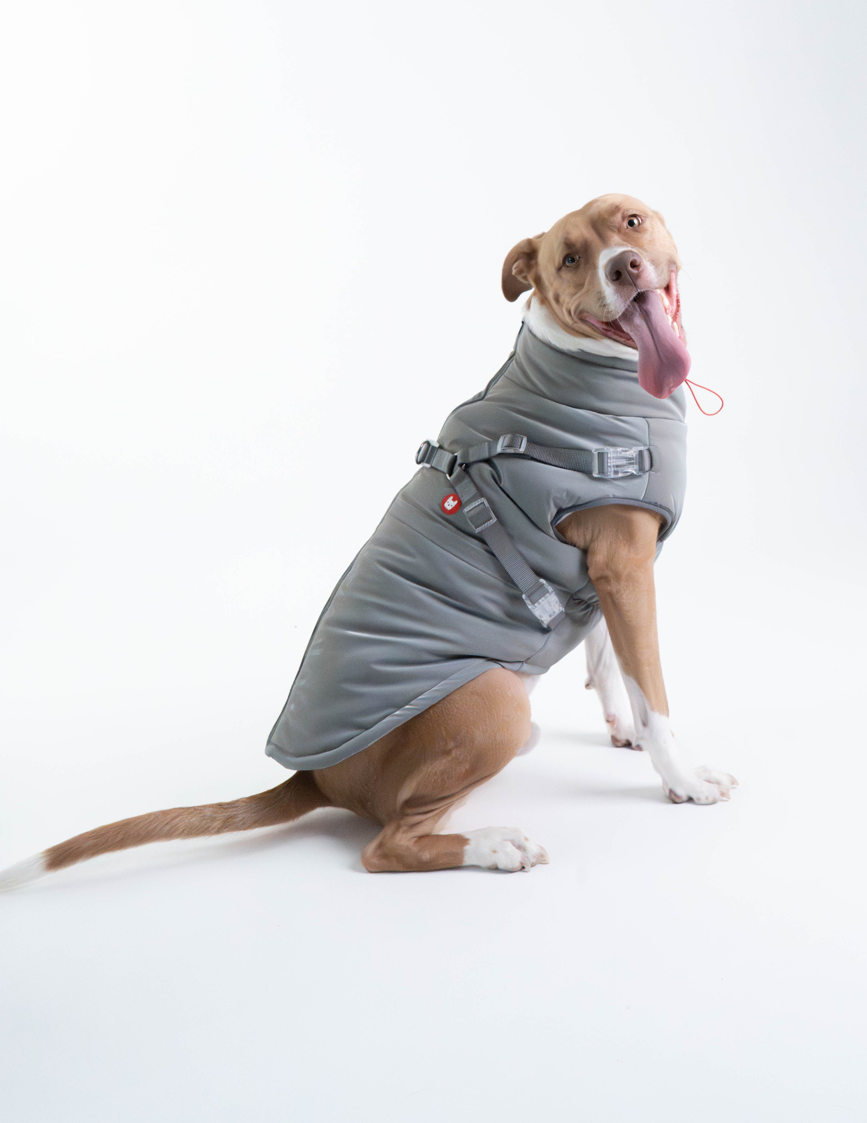Nova Detachable Full Body Winter Dog Jacket compatible with Maximus Harness