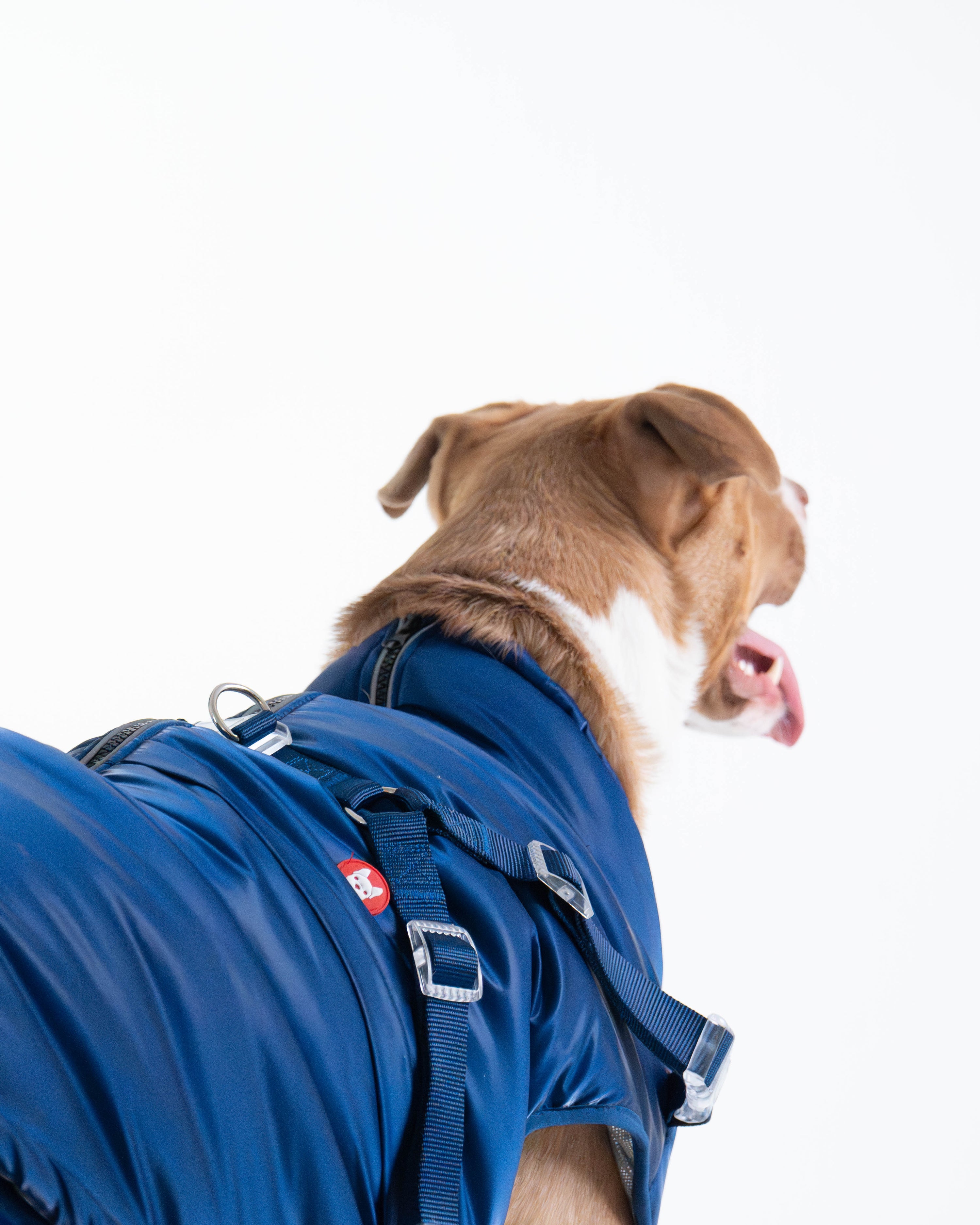 Winter Jacket (test)