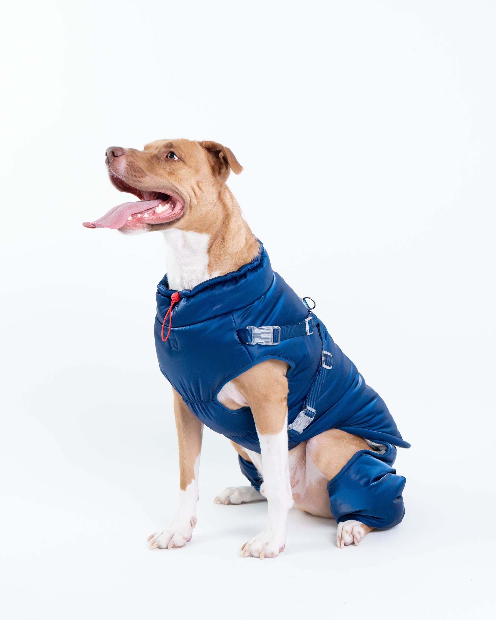 Winter Jacket (test)