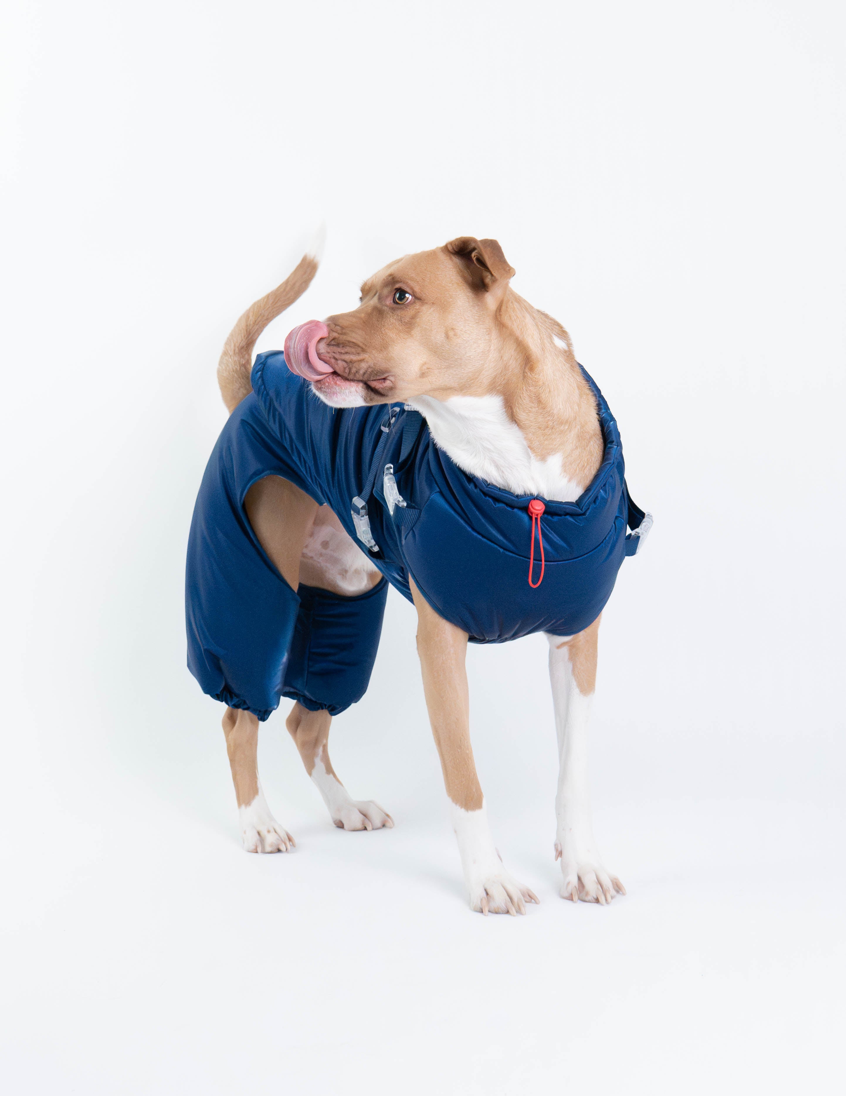 Nova Detachable Full Body Winter Dog Jacket compatible with Maximus Harness