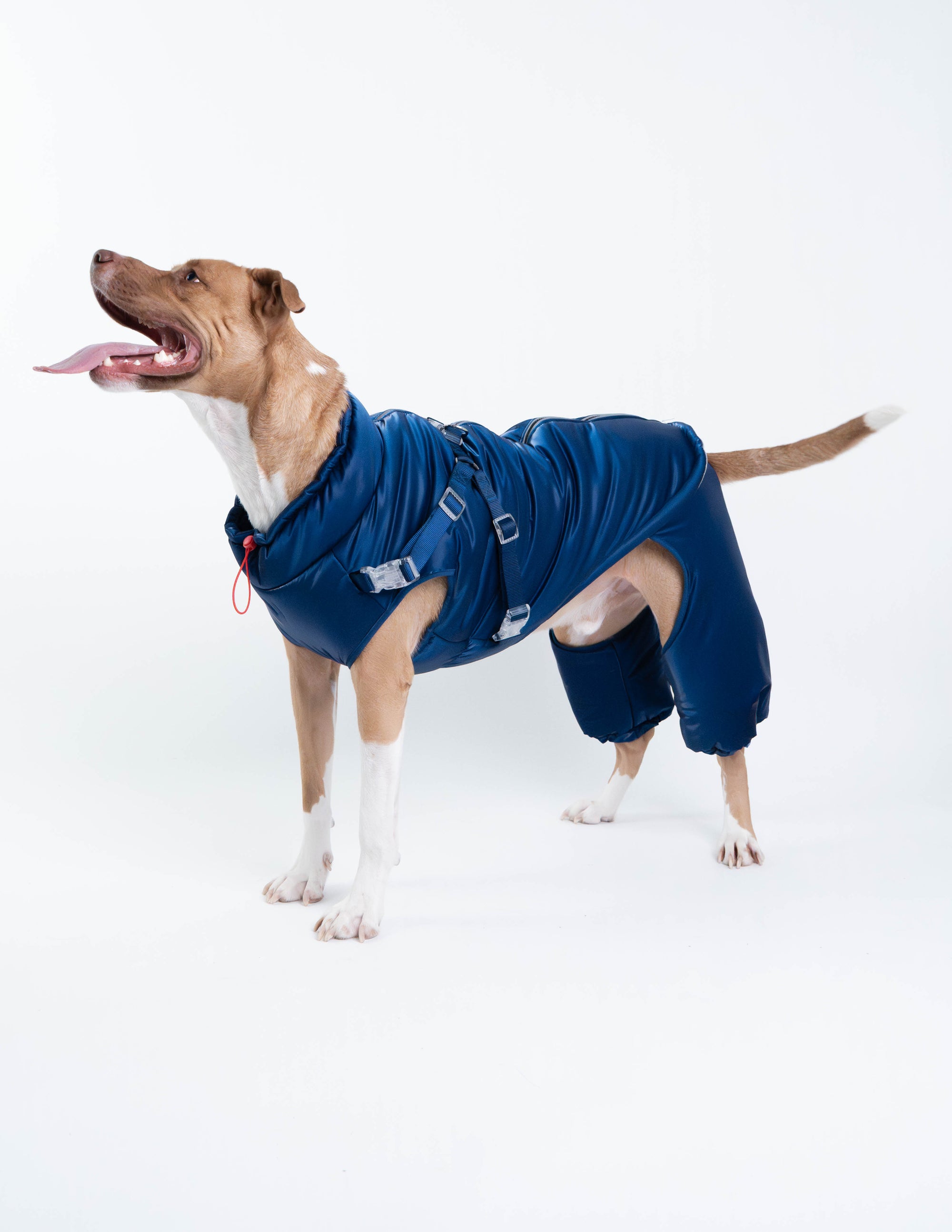 Nova Detachable Full Body Winter Dog Jacket compatible with Maximus Harness