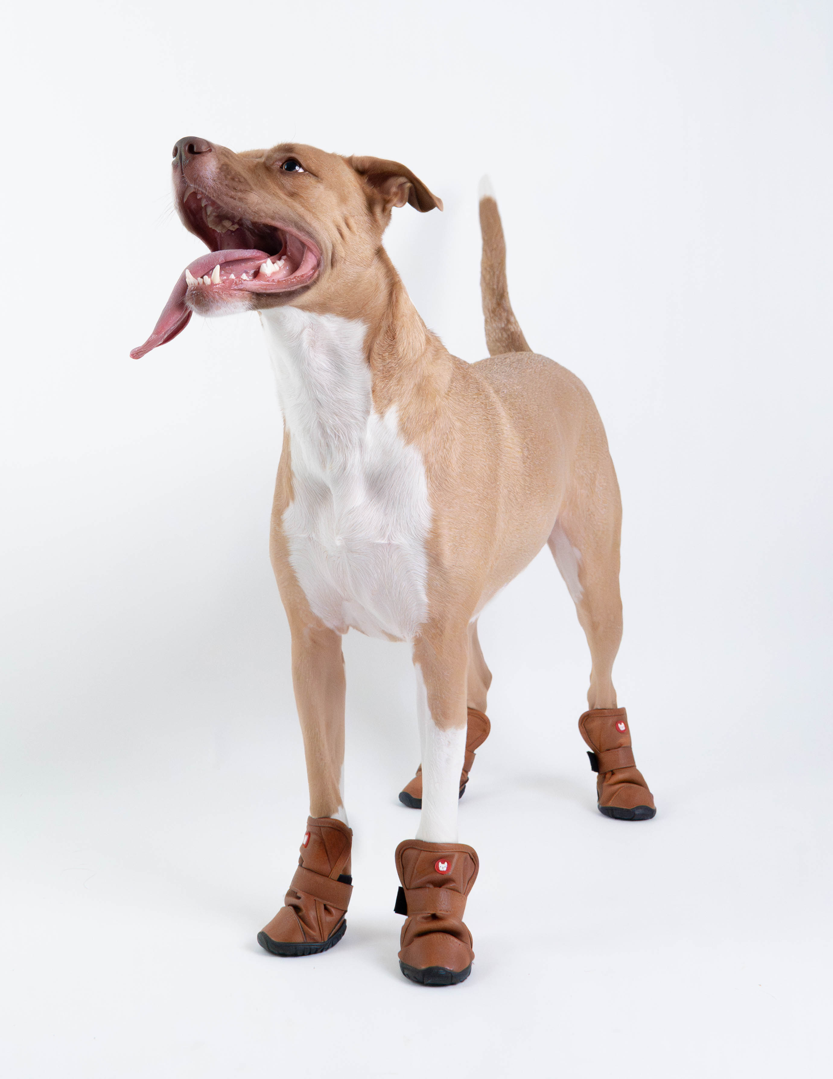Cedar Dog Vegan Leather Boots Black or Tan