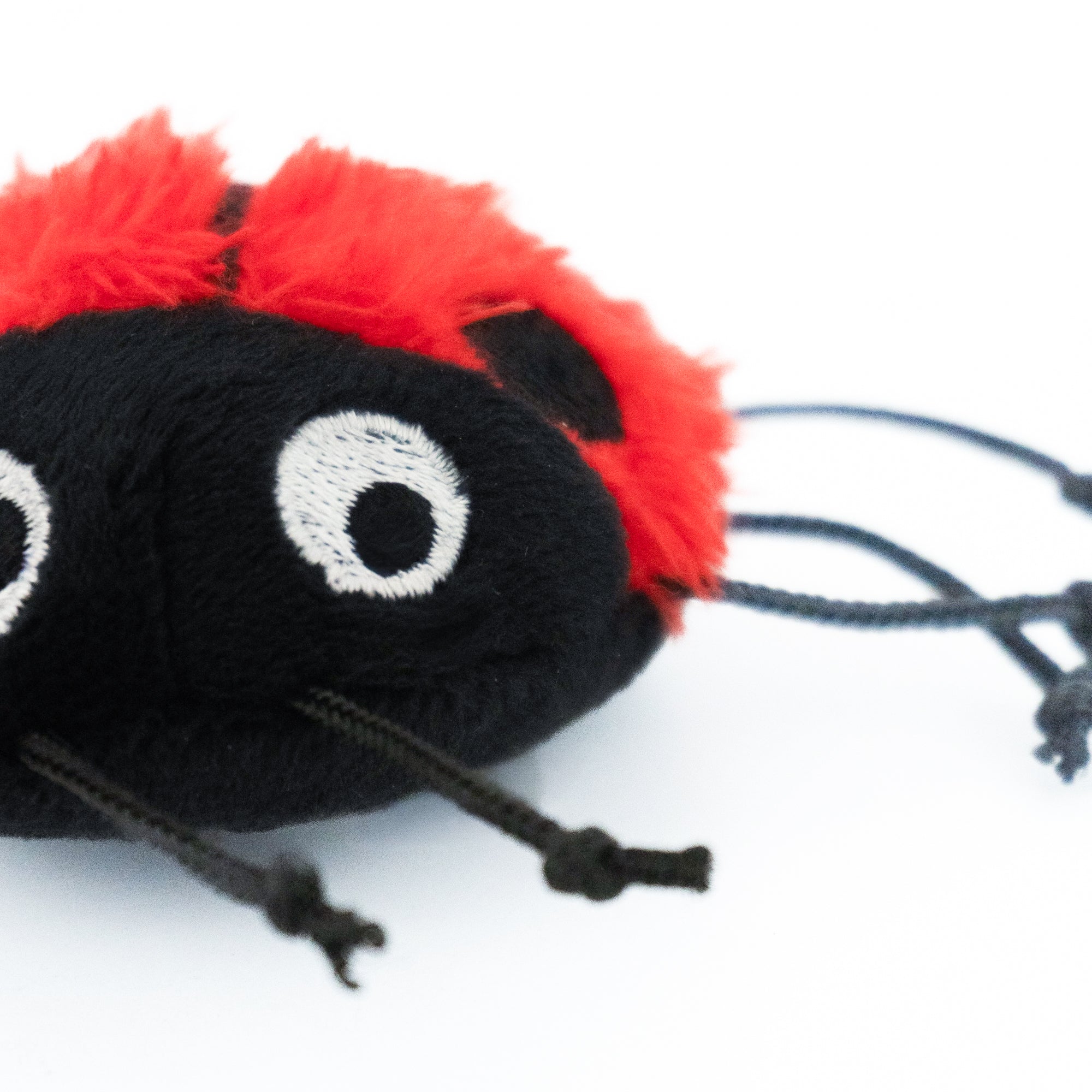 Lady Bug Cat Toy