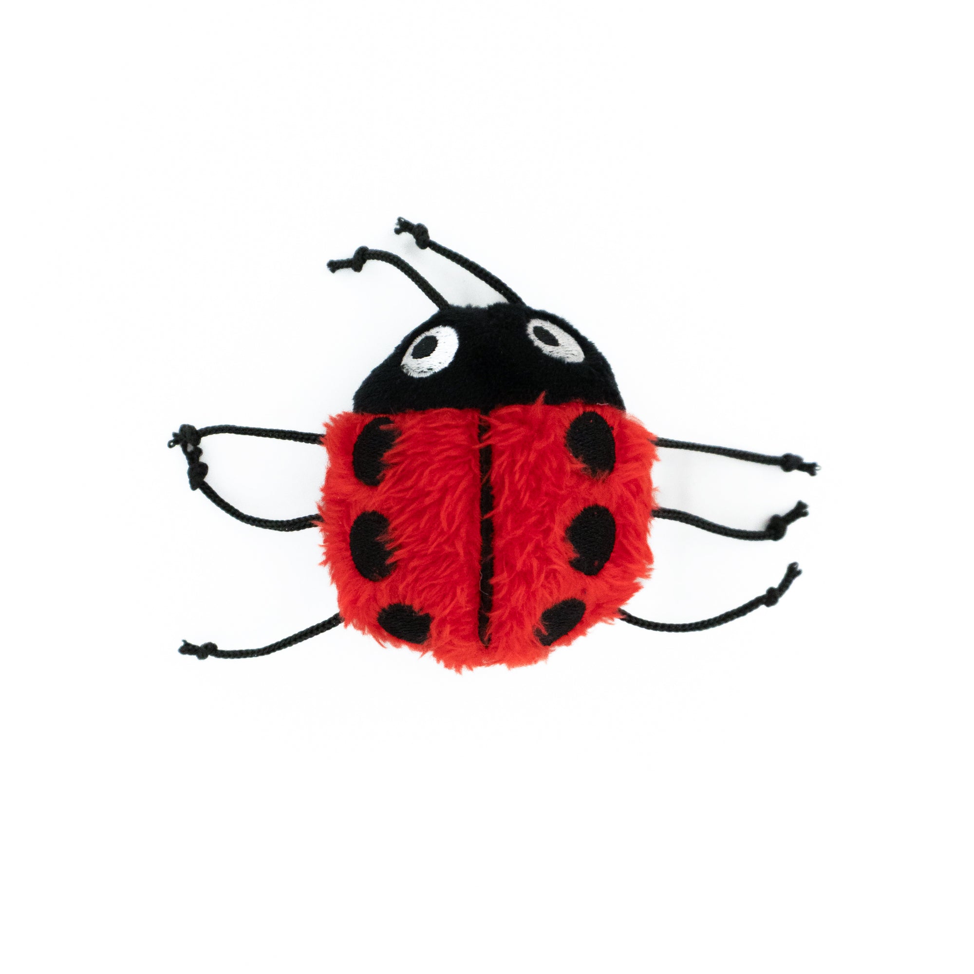Lady Bug Cat Toy