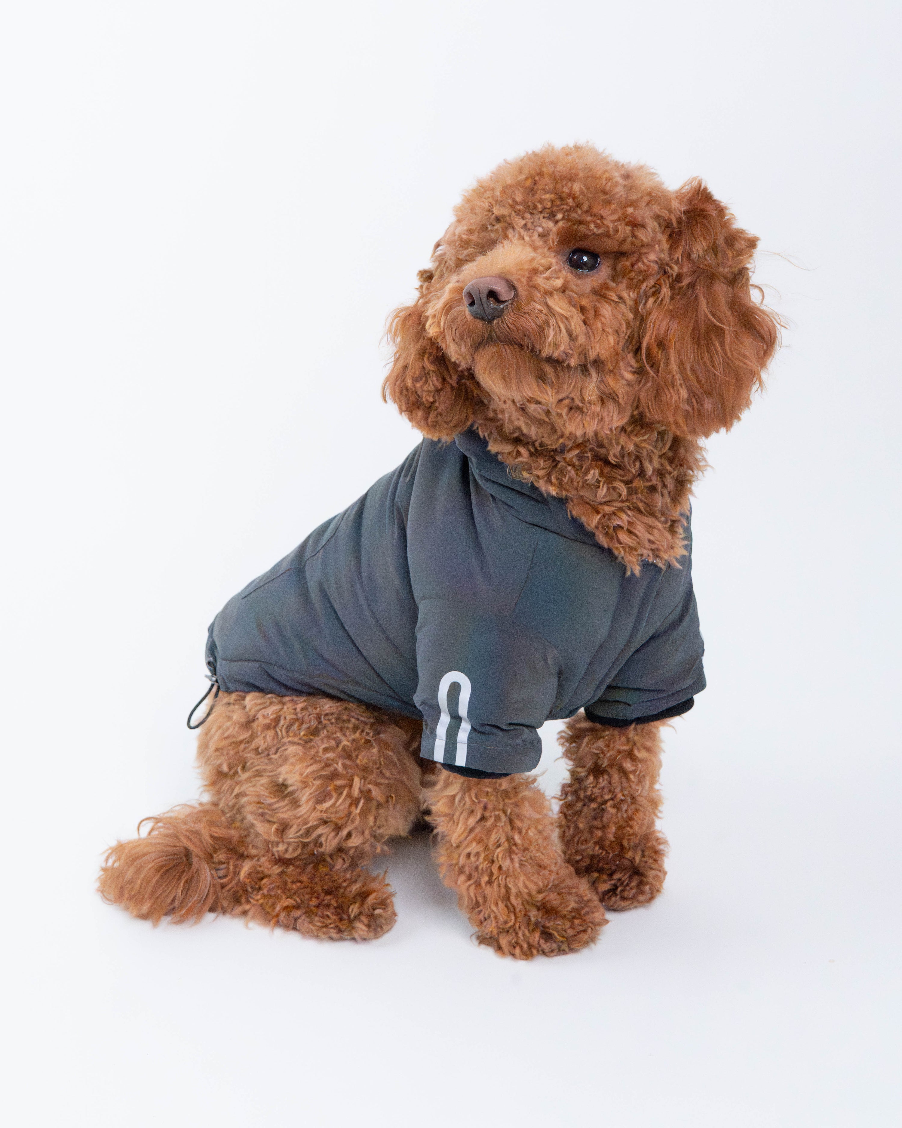 Yves Padded Winter Dog Jacket
