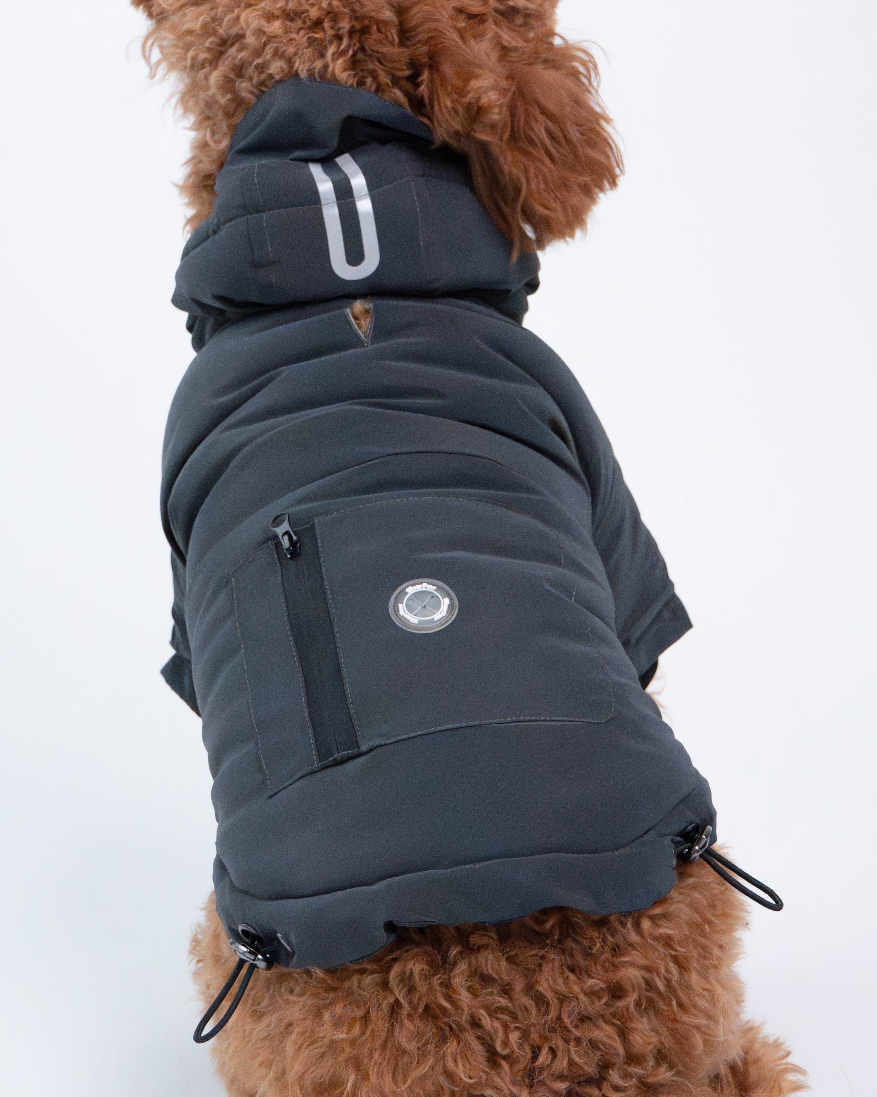 Yves Padded Winter Dog Jacket