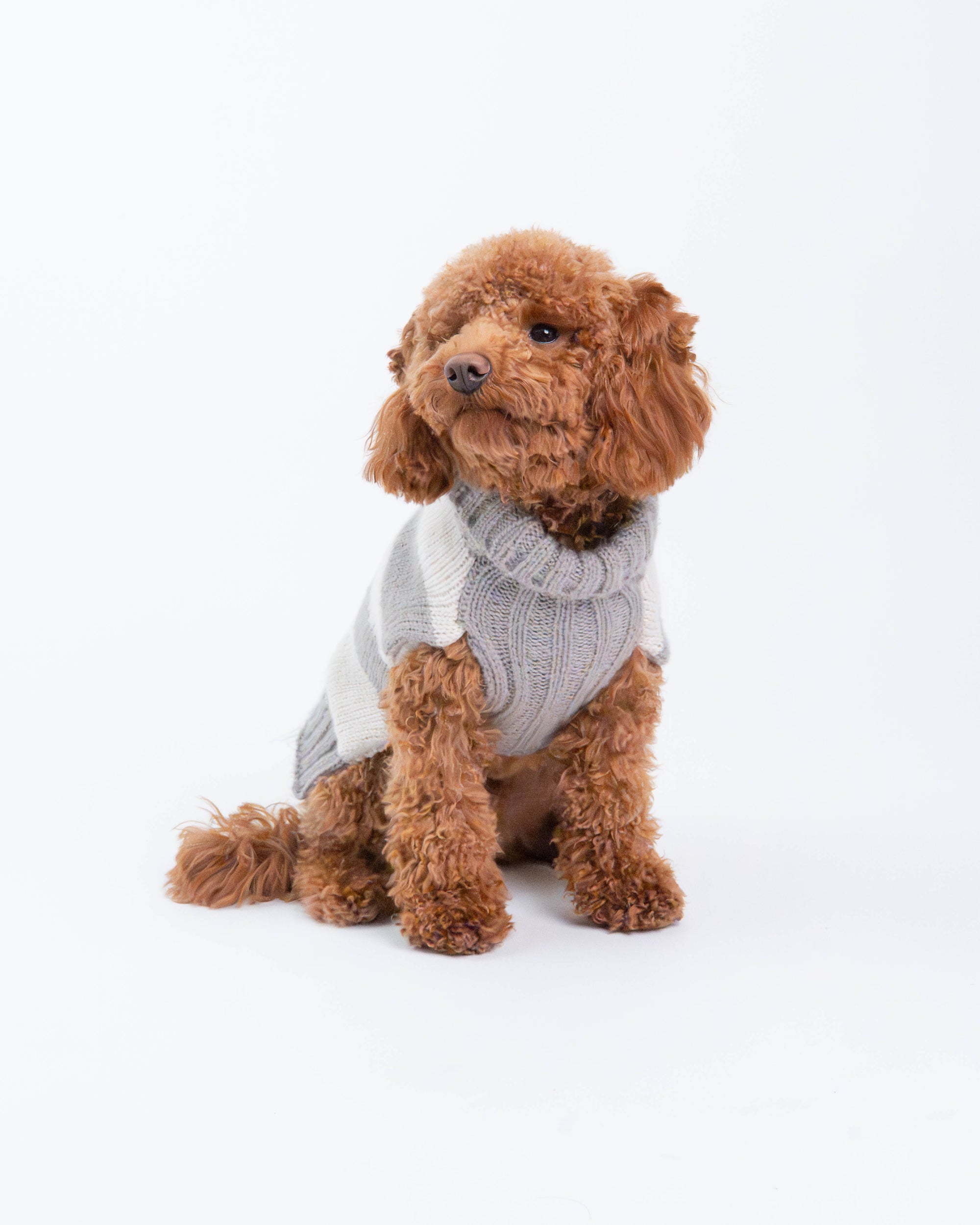Maya Fashion Stripes Dog Sweater, Grey and Beige Stripes