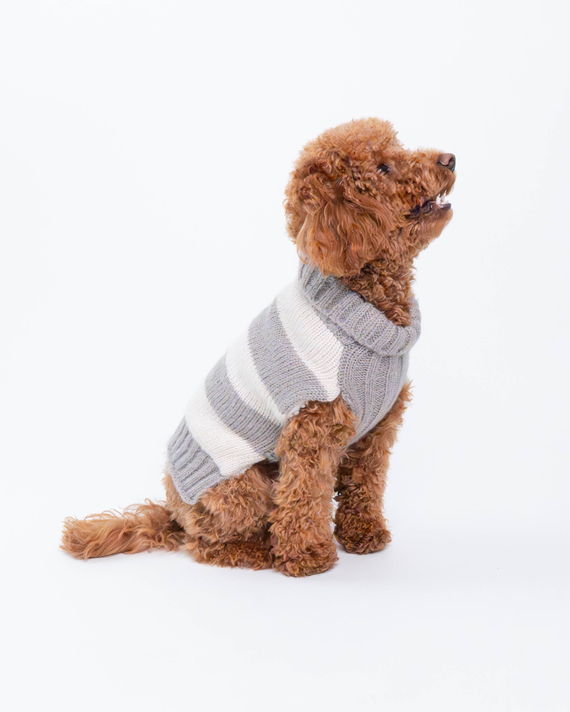 Maya Fashion Stripes Dog Sweater, Grey and Beige Stripes