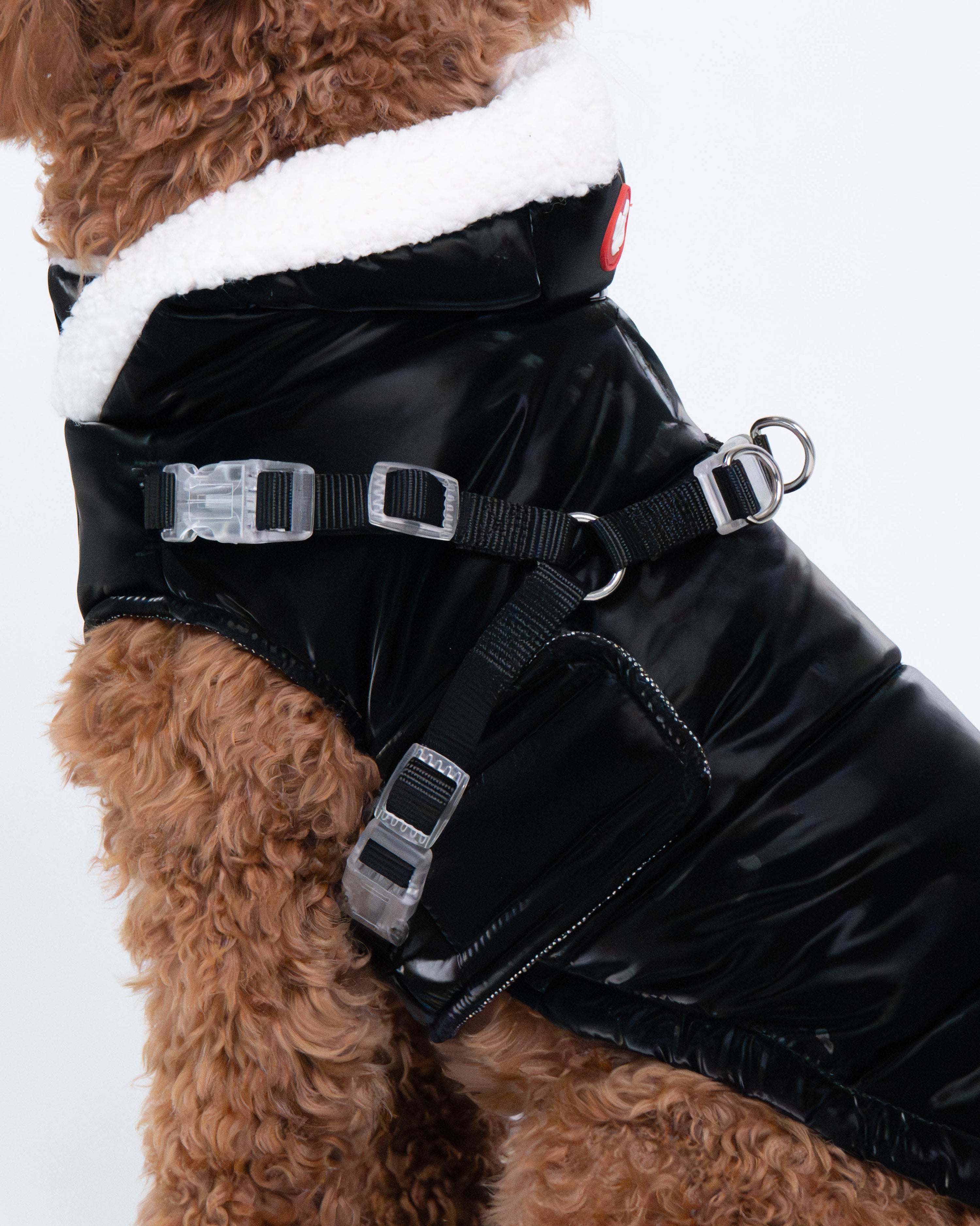 Zara Puffer Dog Jacket