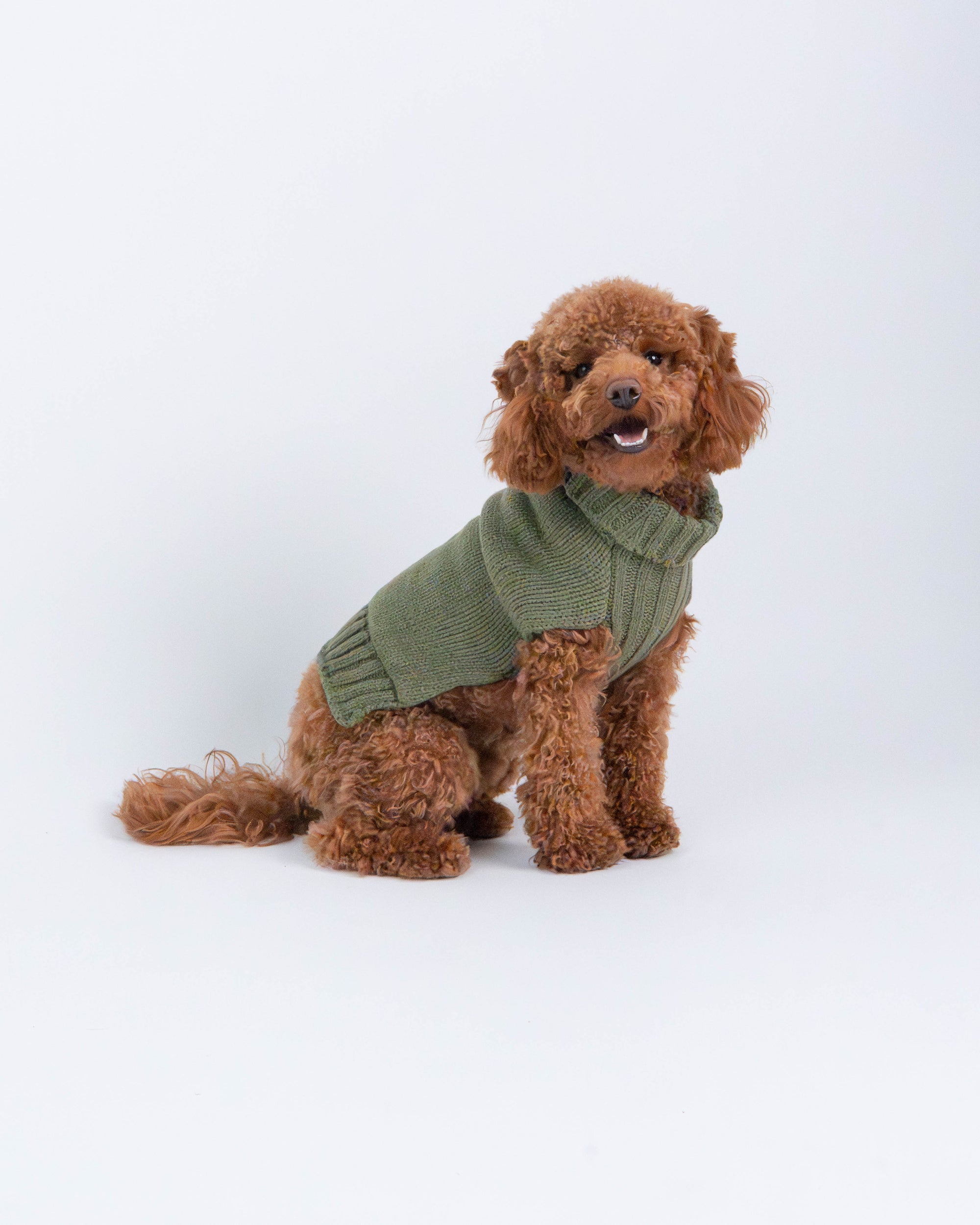 Luna Fashion Yarn Dog Sweater