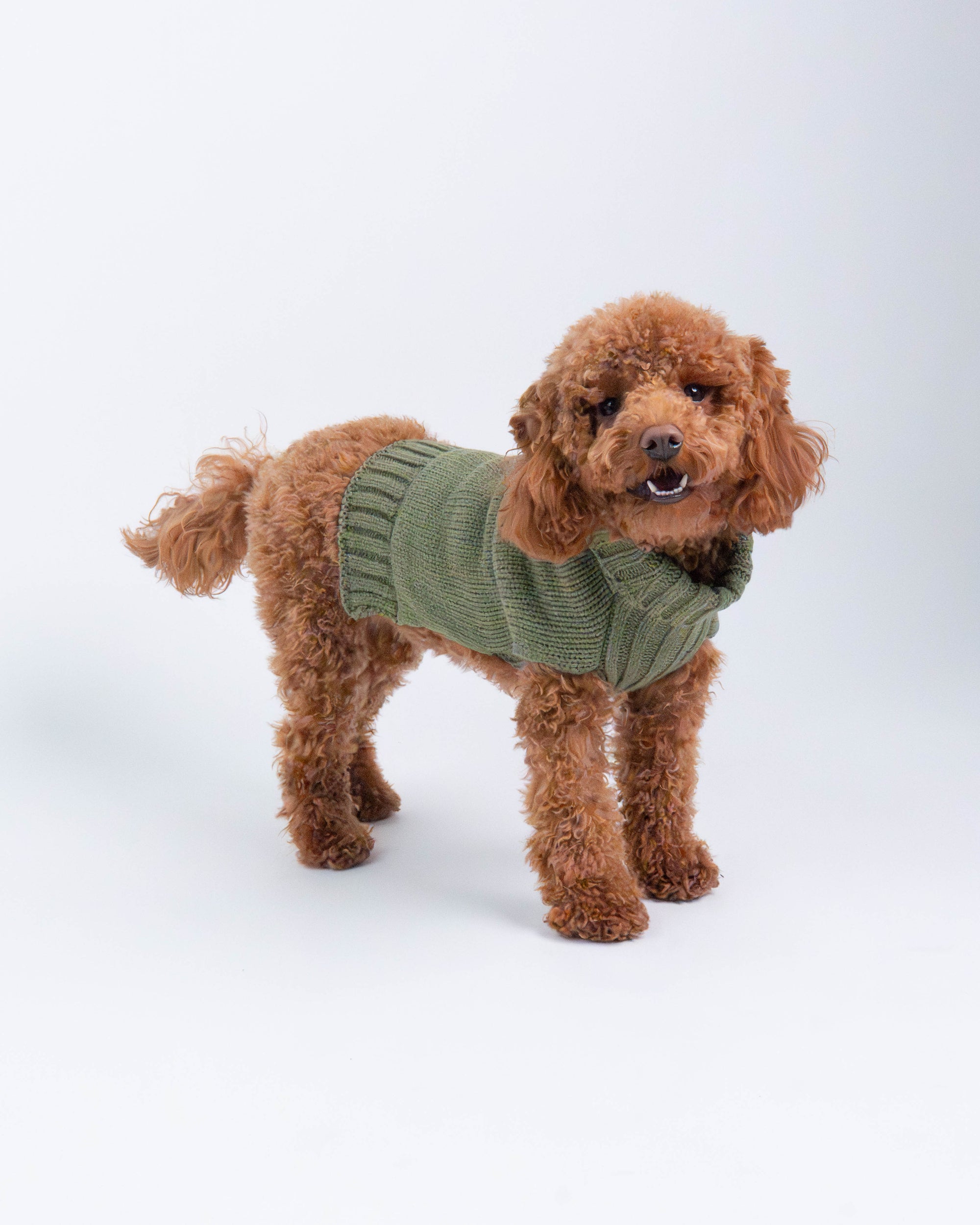 Luna Fashion Yarn Dog Sweater