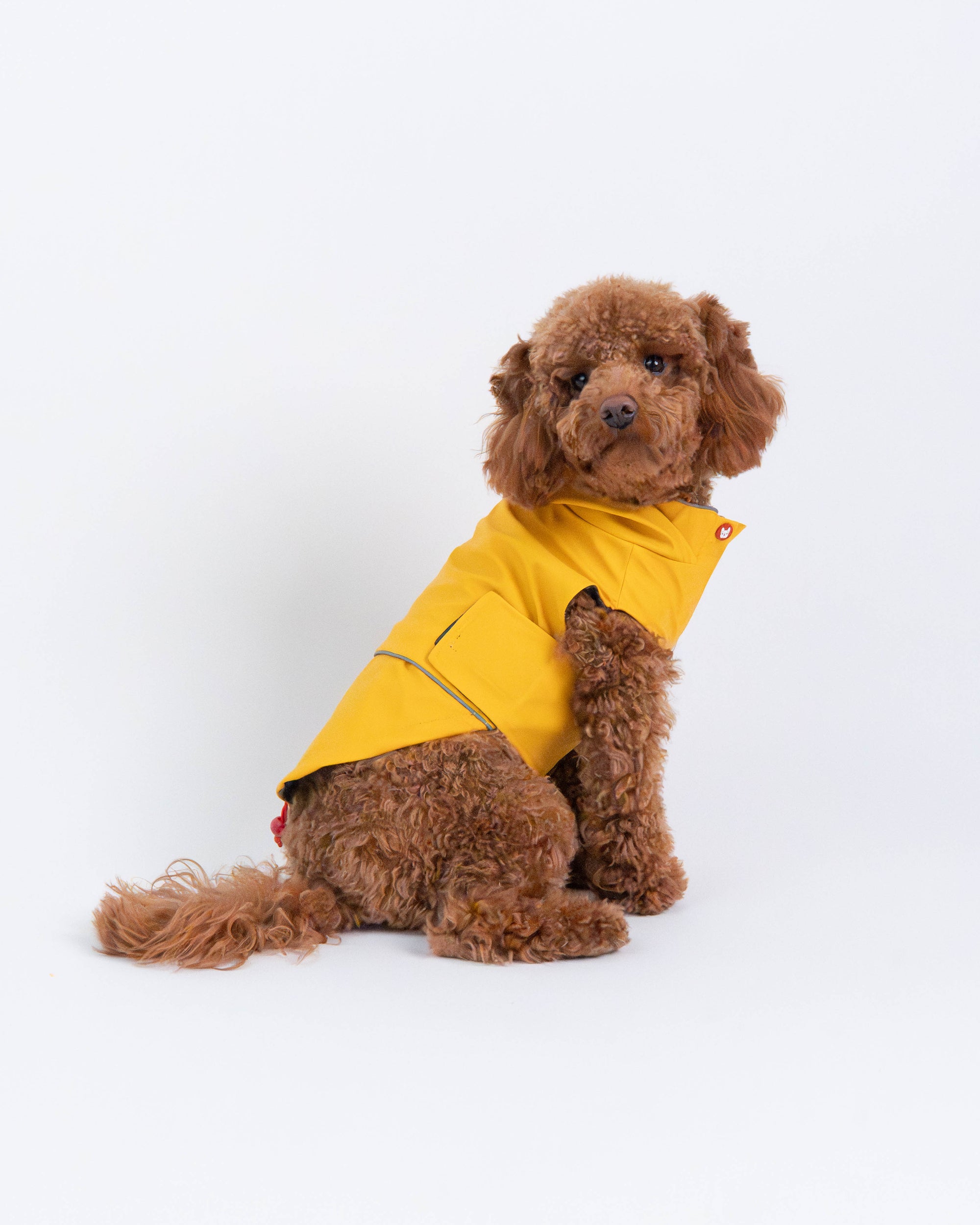 Manteau imperméable pour chien Aden 2.0 jaune