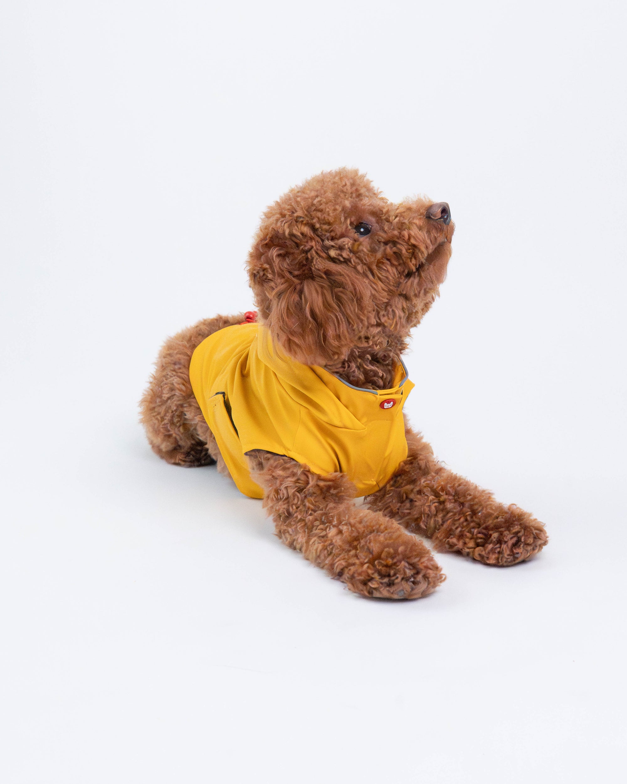 Manteau imperméable pour chien Aden 2.0 jaune