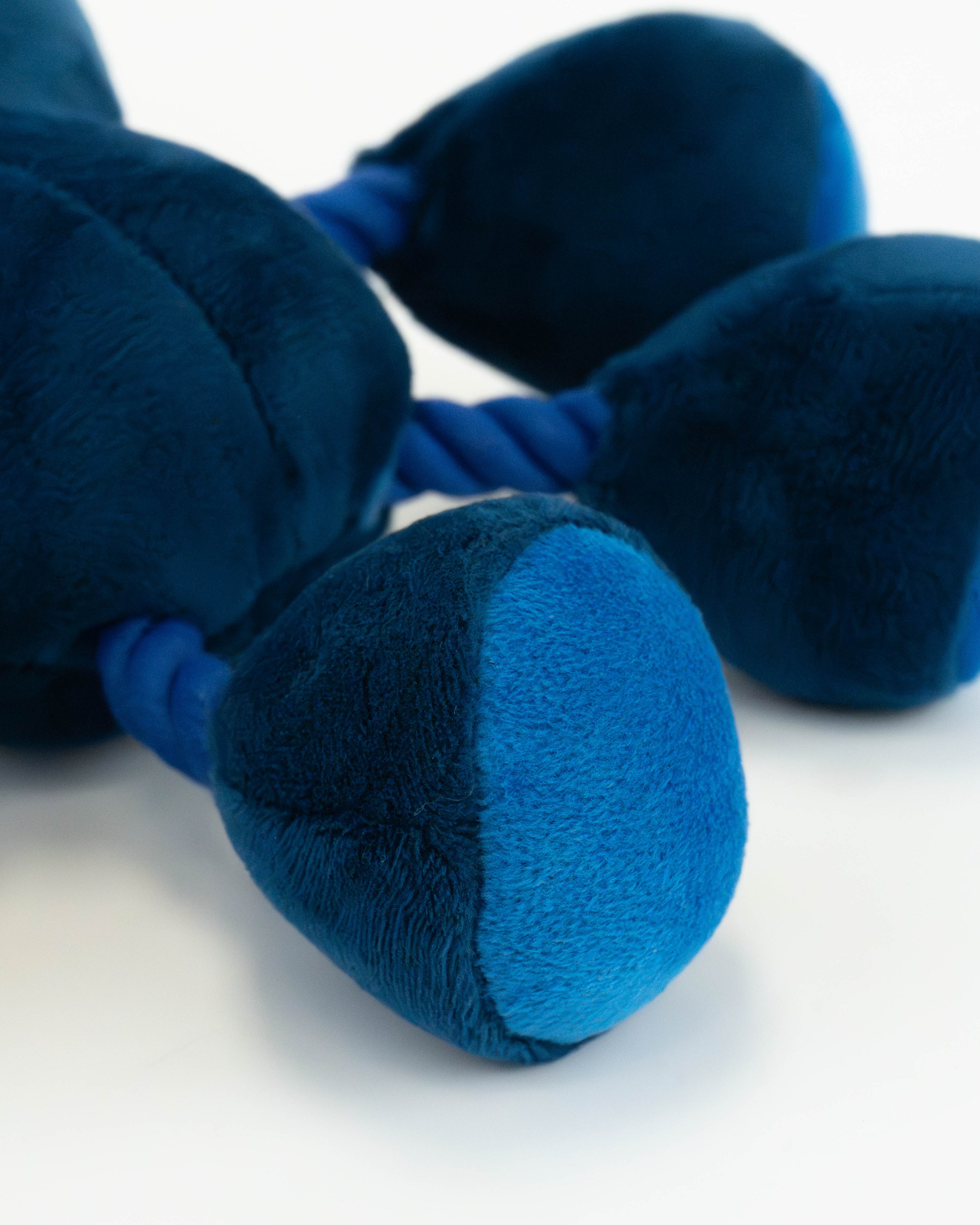 Ropez Rope Body Fruit Friends  Dog Toy - Blue