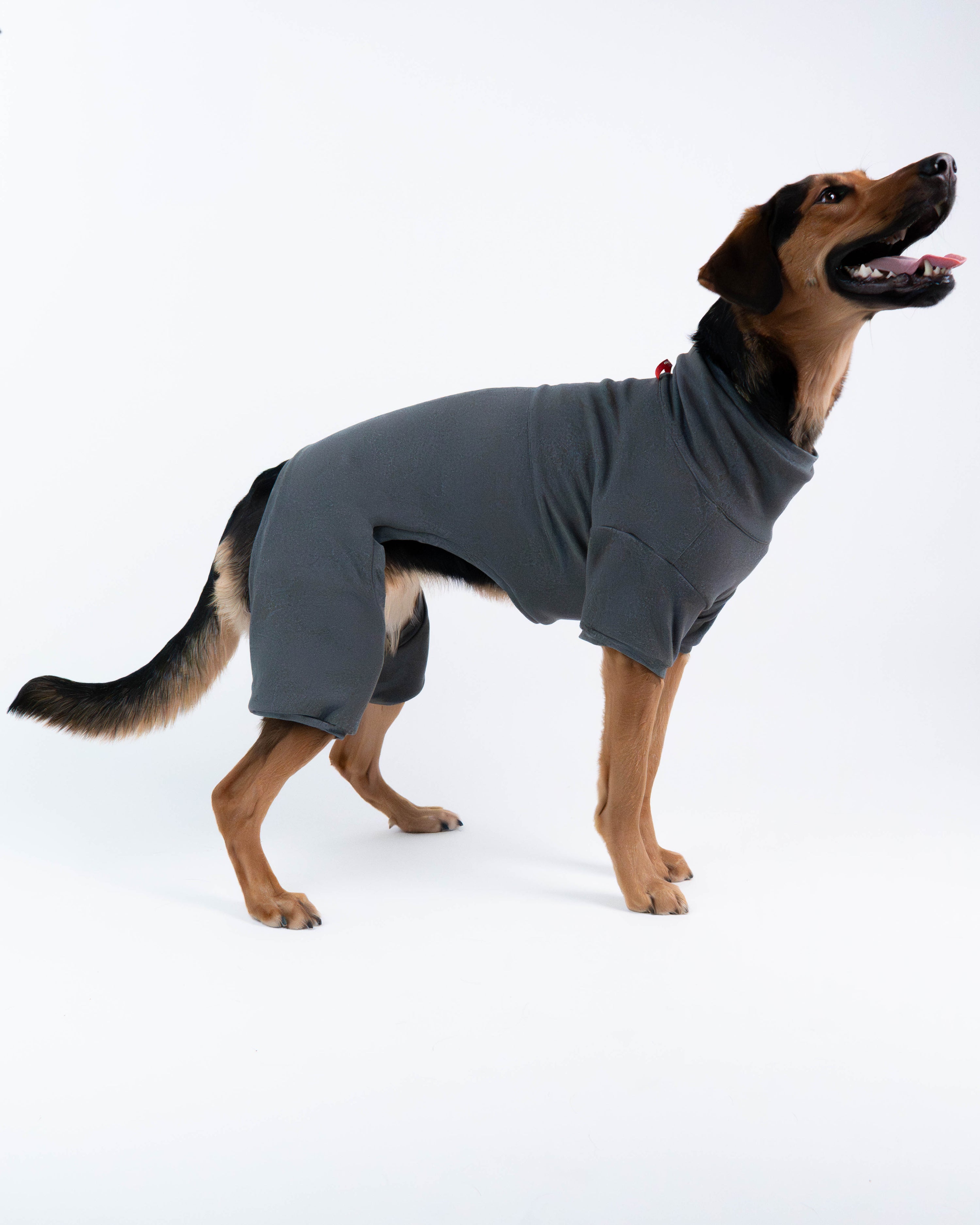 Sophia Dog Deshedding Body Suit