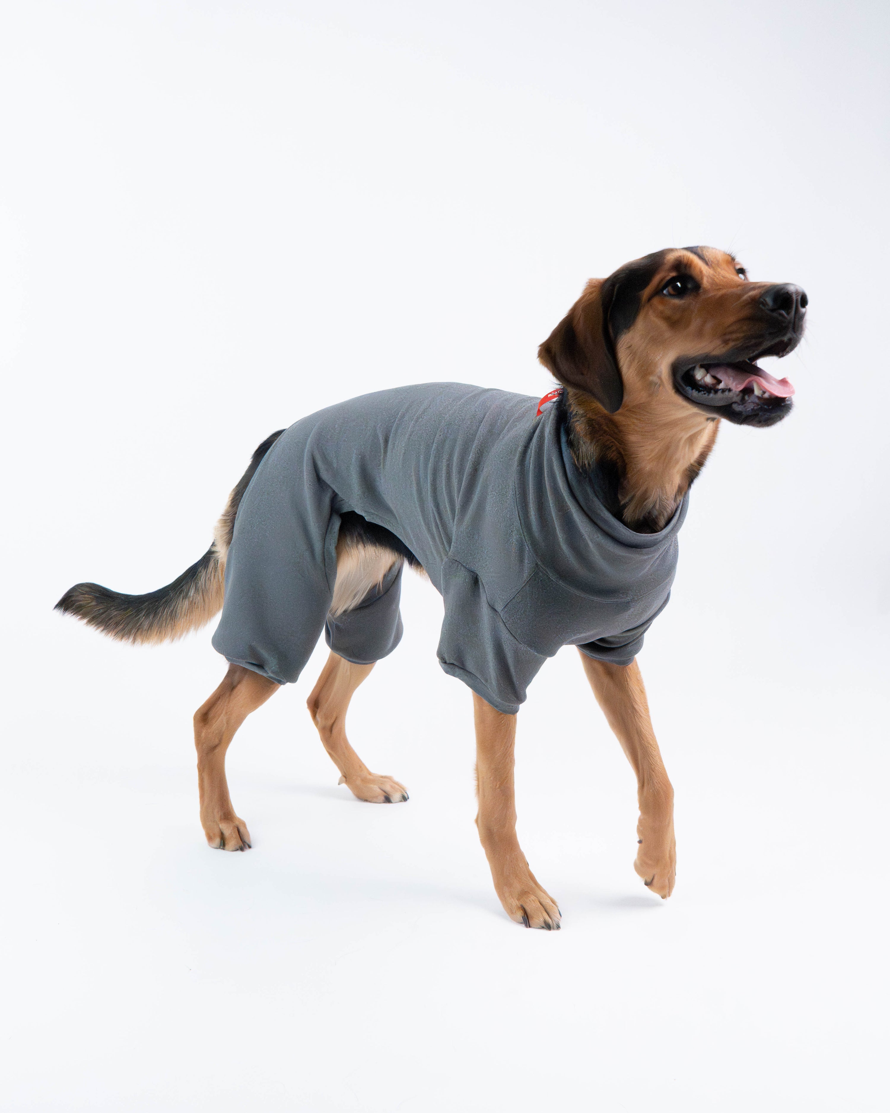 Sophia Dog Deshedding Body Suit