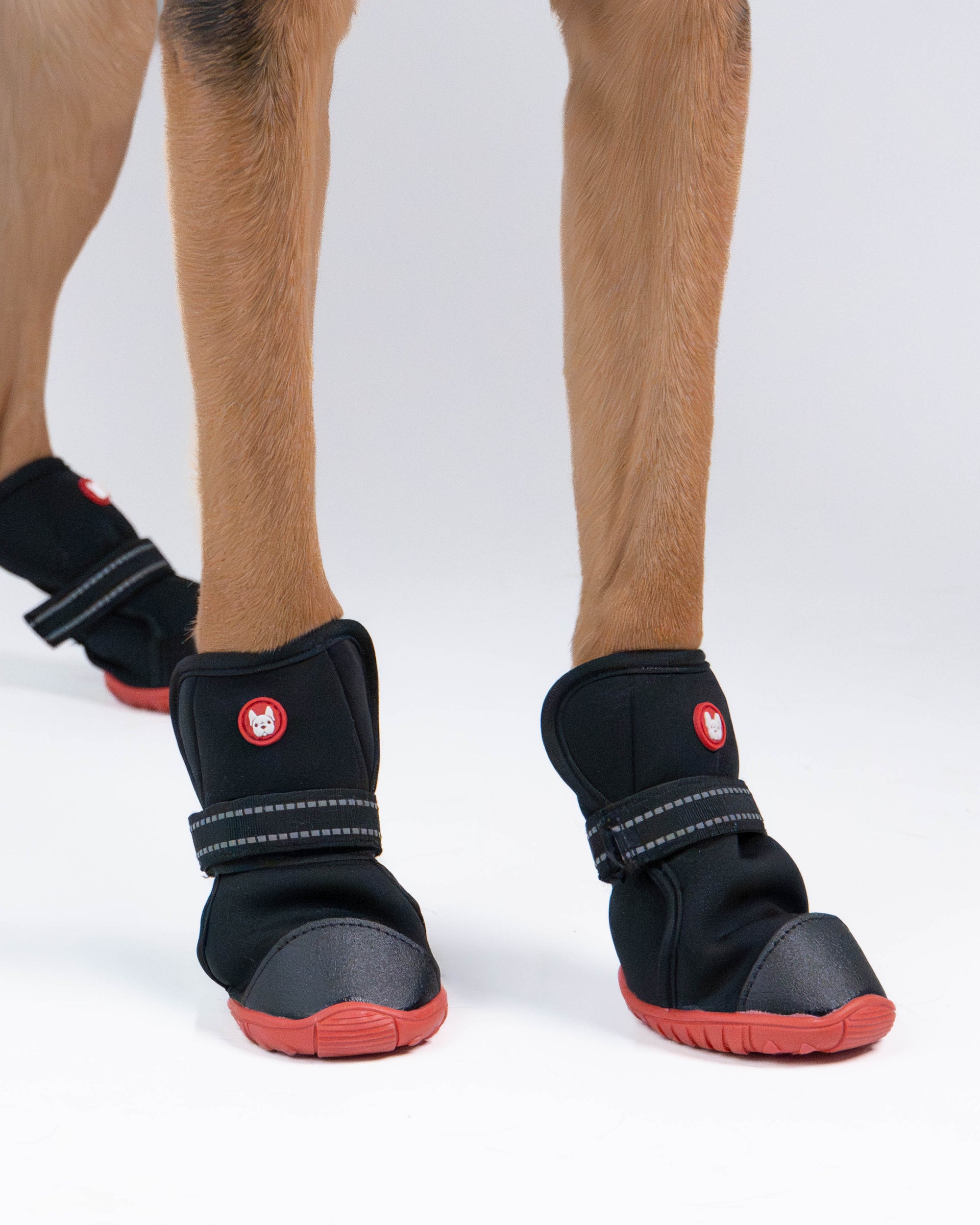 Ren Winter Dog Boots