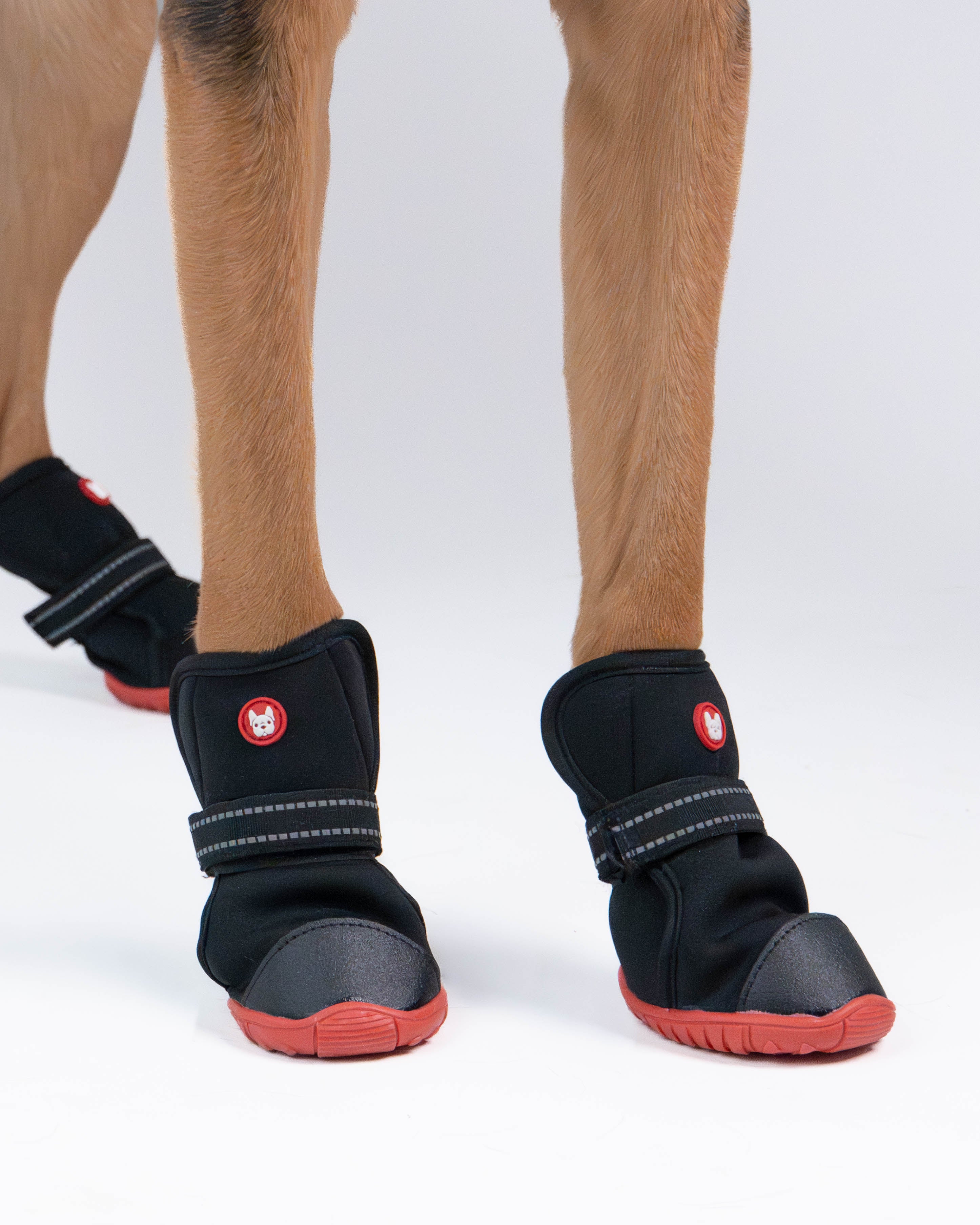 Ren Winter Dog Boots