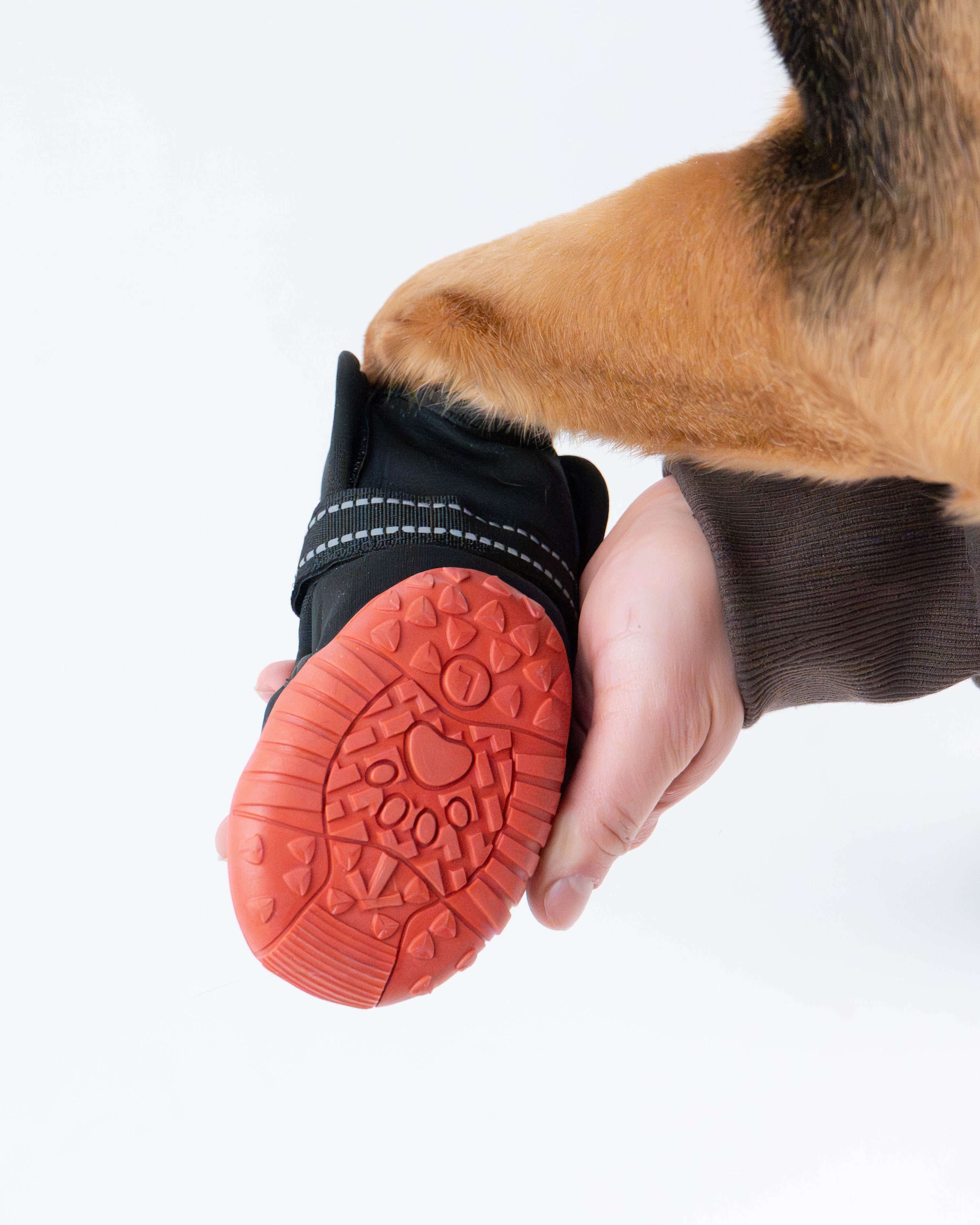 Ren Winter Dog Boots