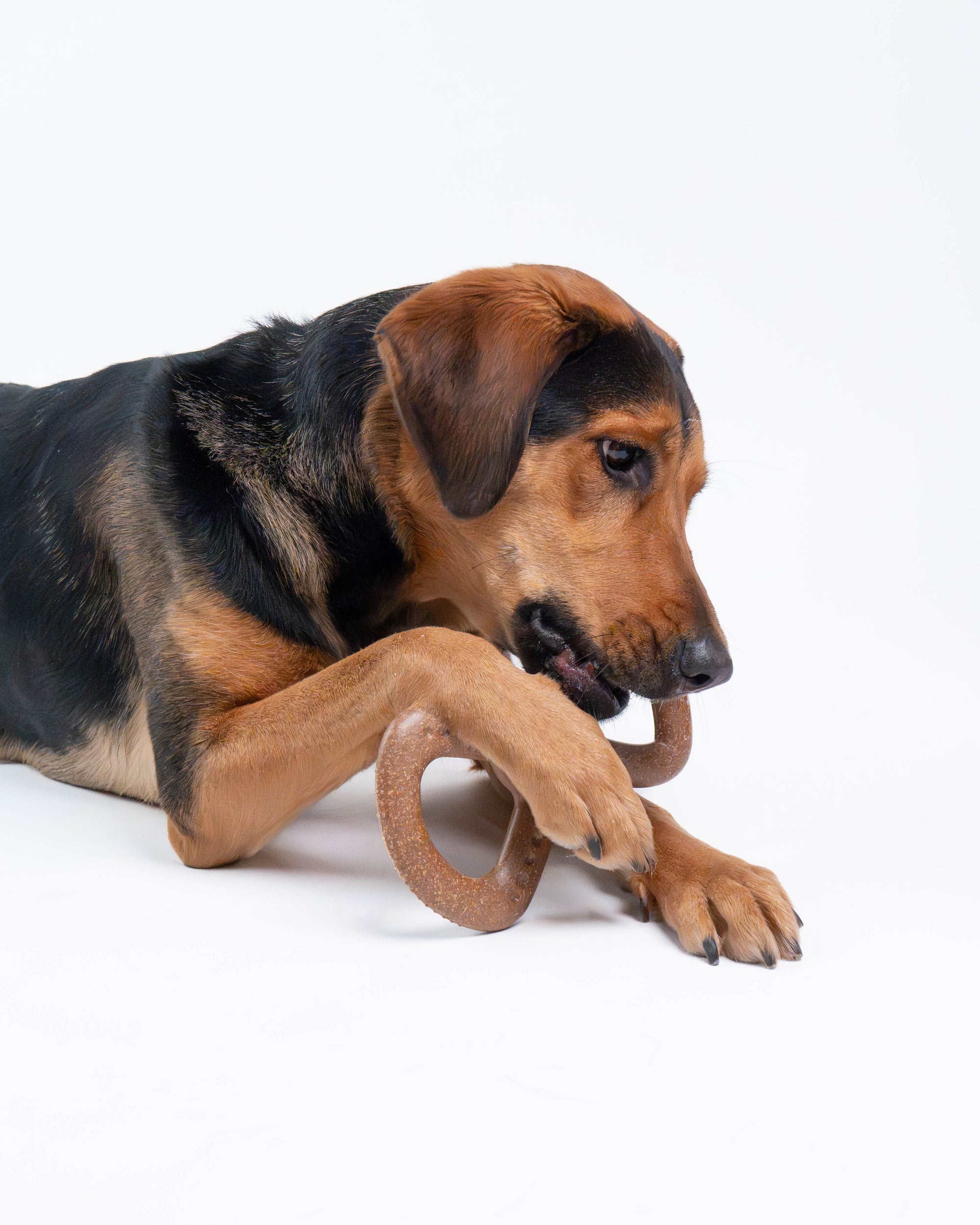 Bambooz 3 Pack Bamboo Dog Toy - Large