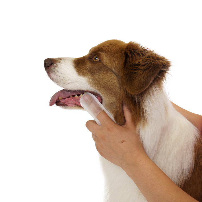 Eco Pet Teeth Wipes from Pineapple and Banana Fiber