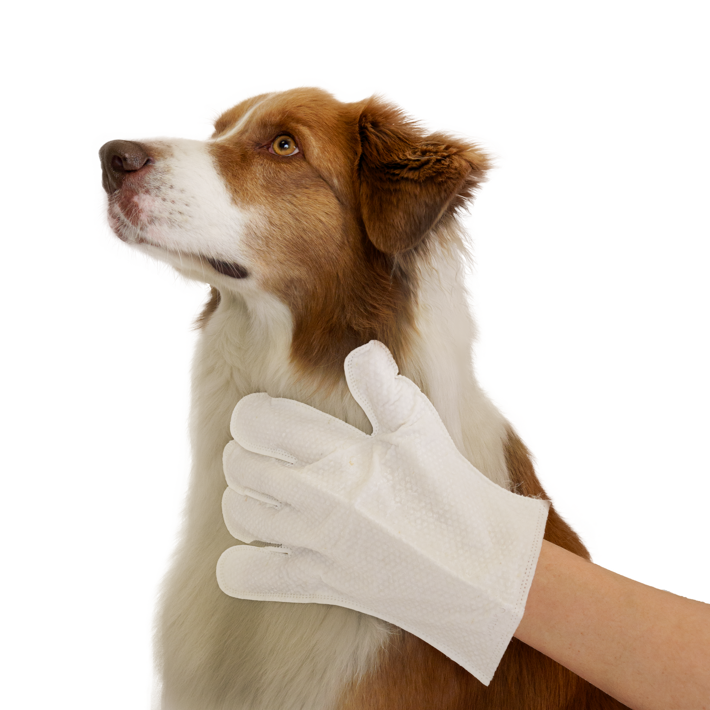 Eco Pet Glove Wipes from Pineapple and Banana Fiber