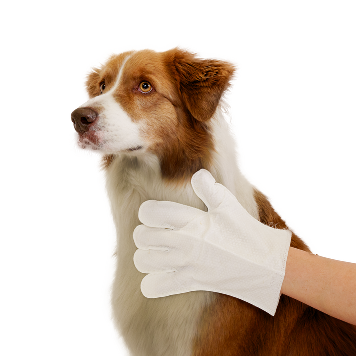 Eco Pet Glove Wipes from Pineapple and Banana Fiber