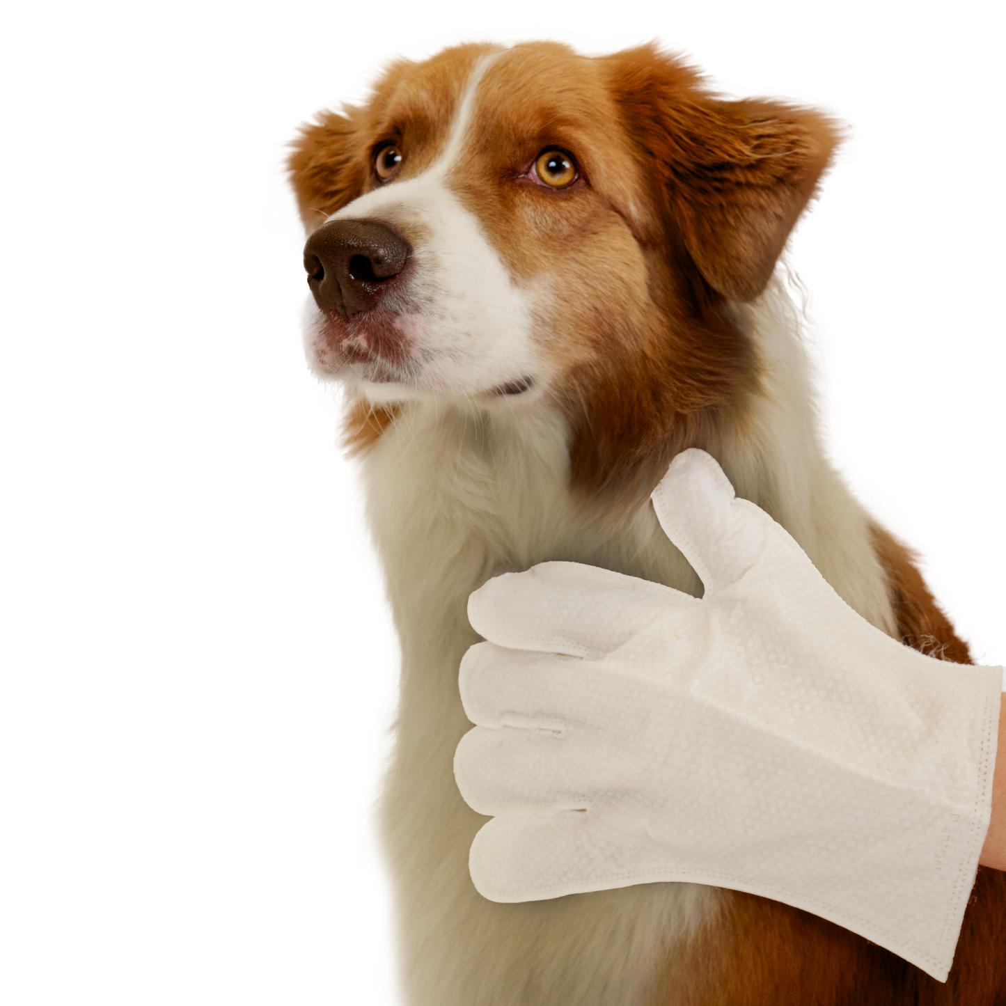 Eco Pet Glove Wipes from Pineapple and Banana Fiber