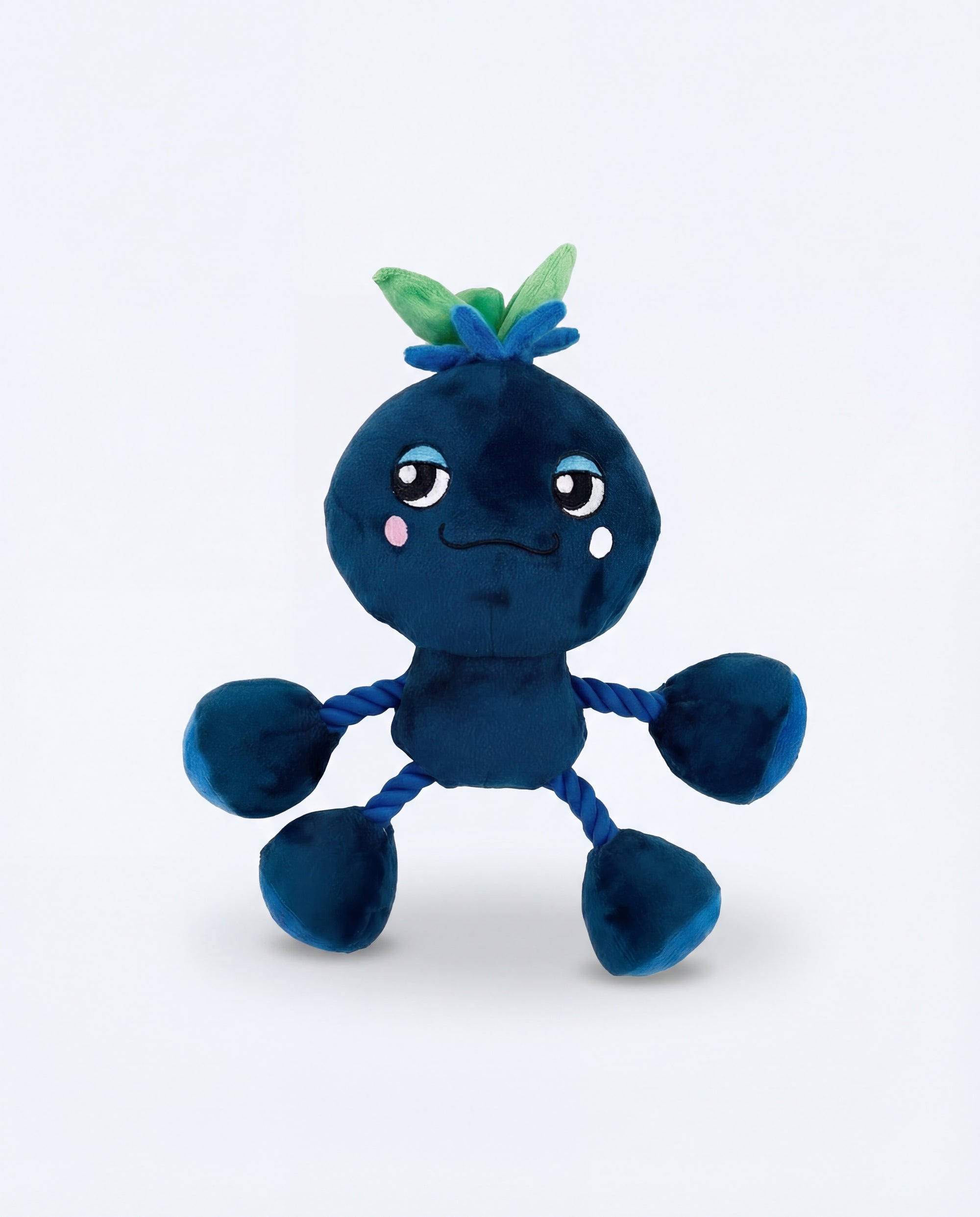 Ropez Rope Body Fruit Friends  Dog Toy - Blue