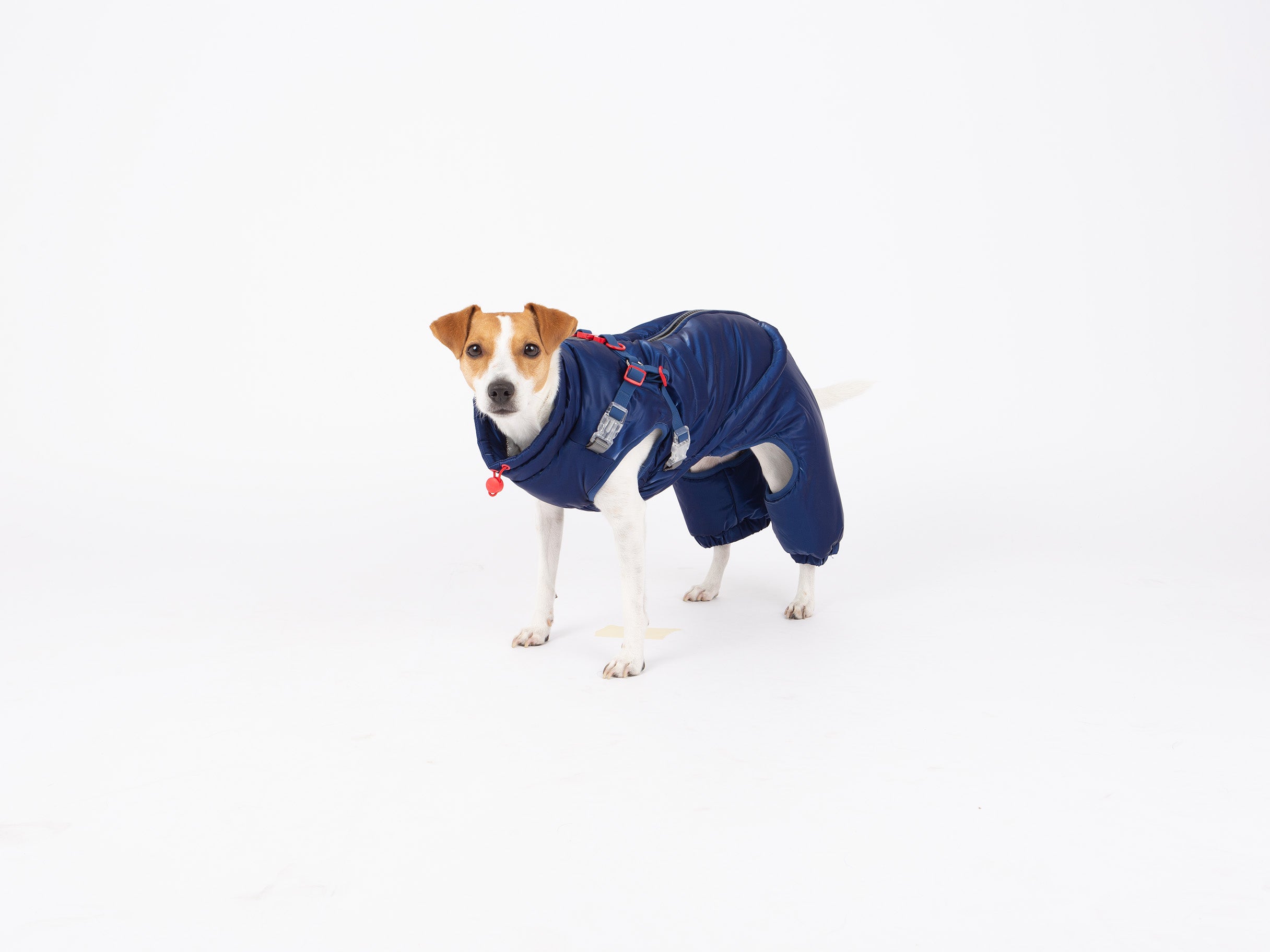 Nova Detachable Full Body Winter Dog Jacket compatible with Maximus Harness