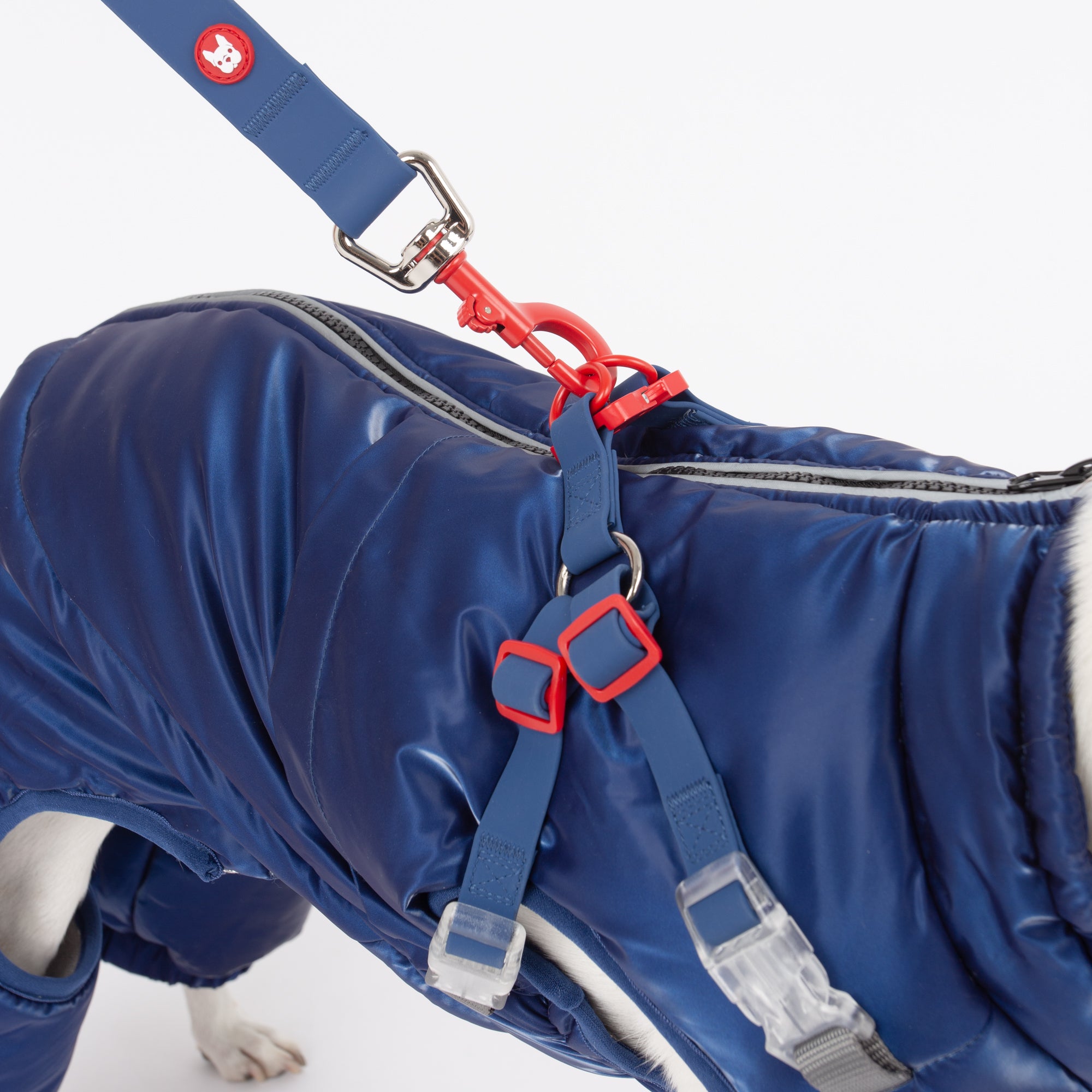 Nova Detachable Full Body Winter Dog Jacket compatible with Maximus Harness