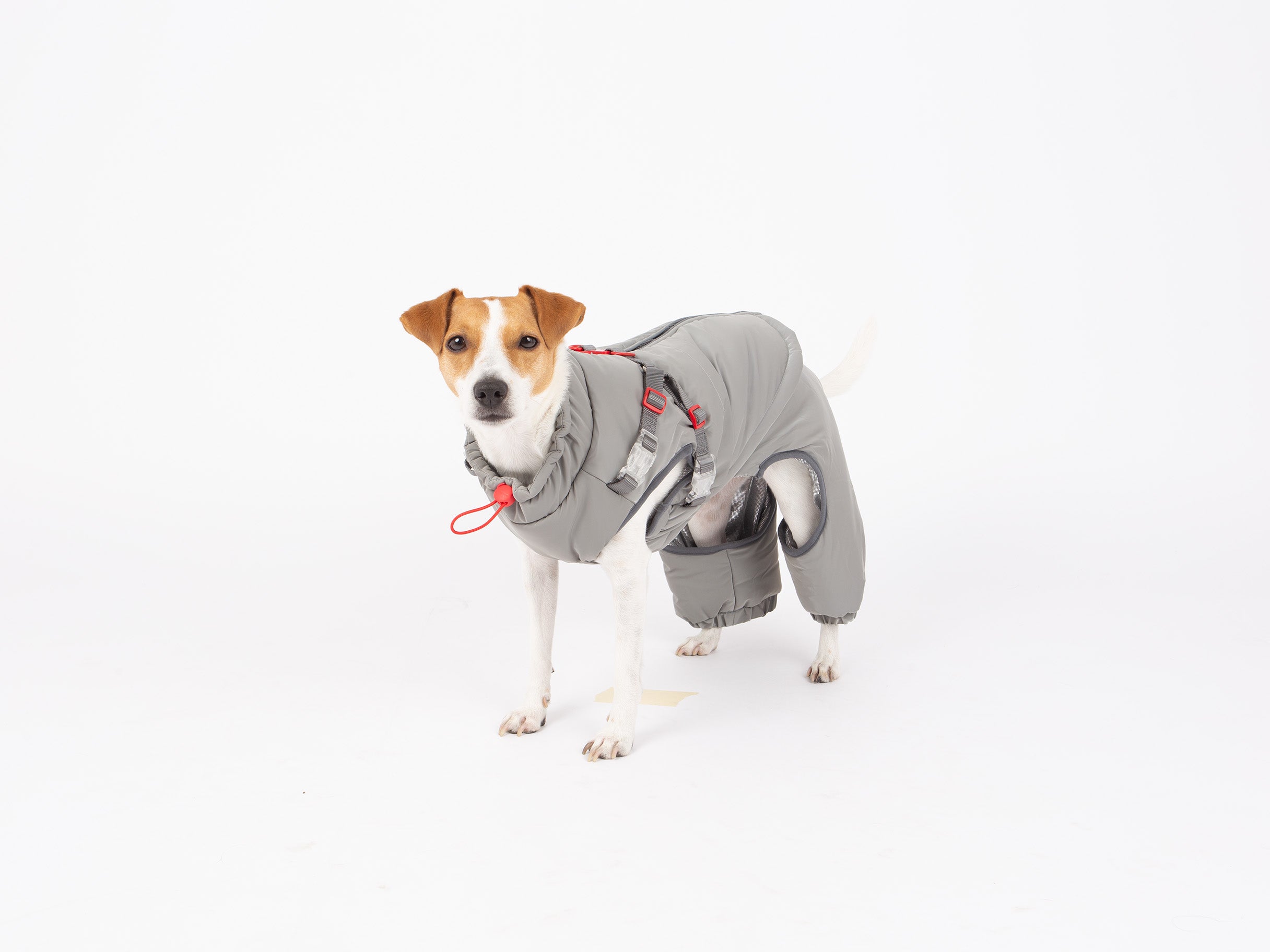 Nova Detachable Full Body Winter Dog Jacket compatible with Maximus Harness