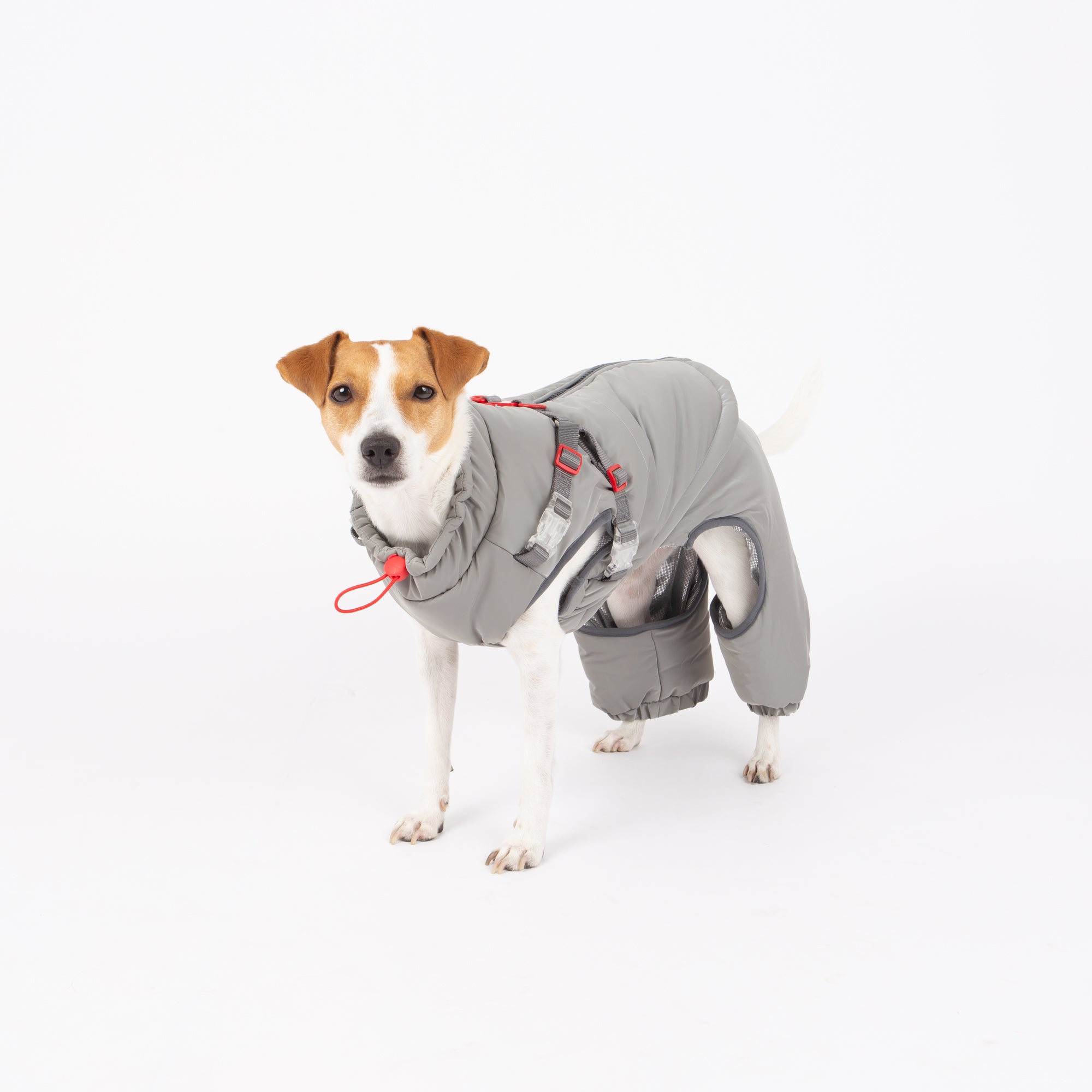 Nova Detachable Full Body Winter Dog Jacket compatible with Maximus Harness
