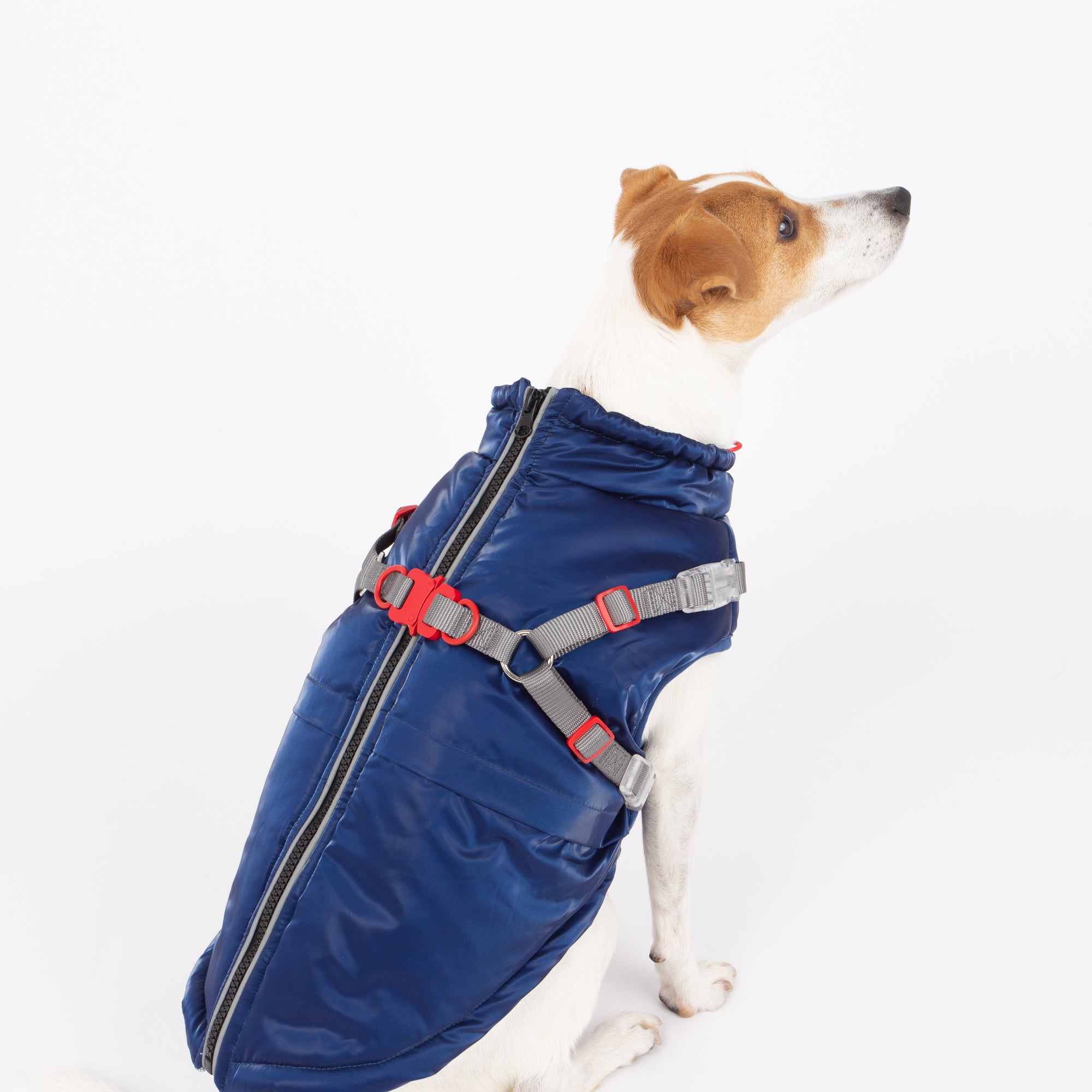 Nova Detachable Full Body Winter Dog Jacket compatible with Maximus Harness